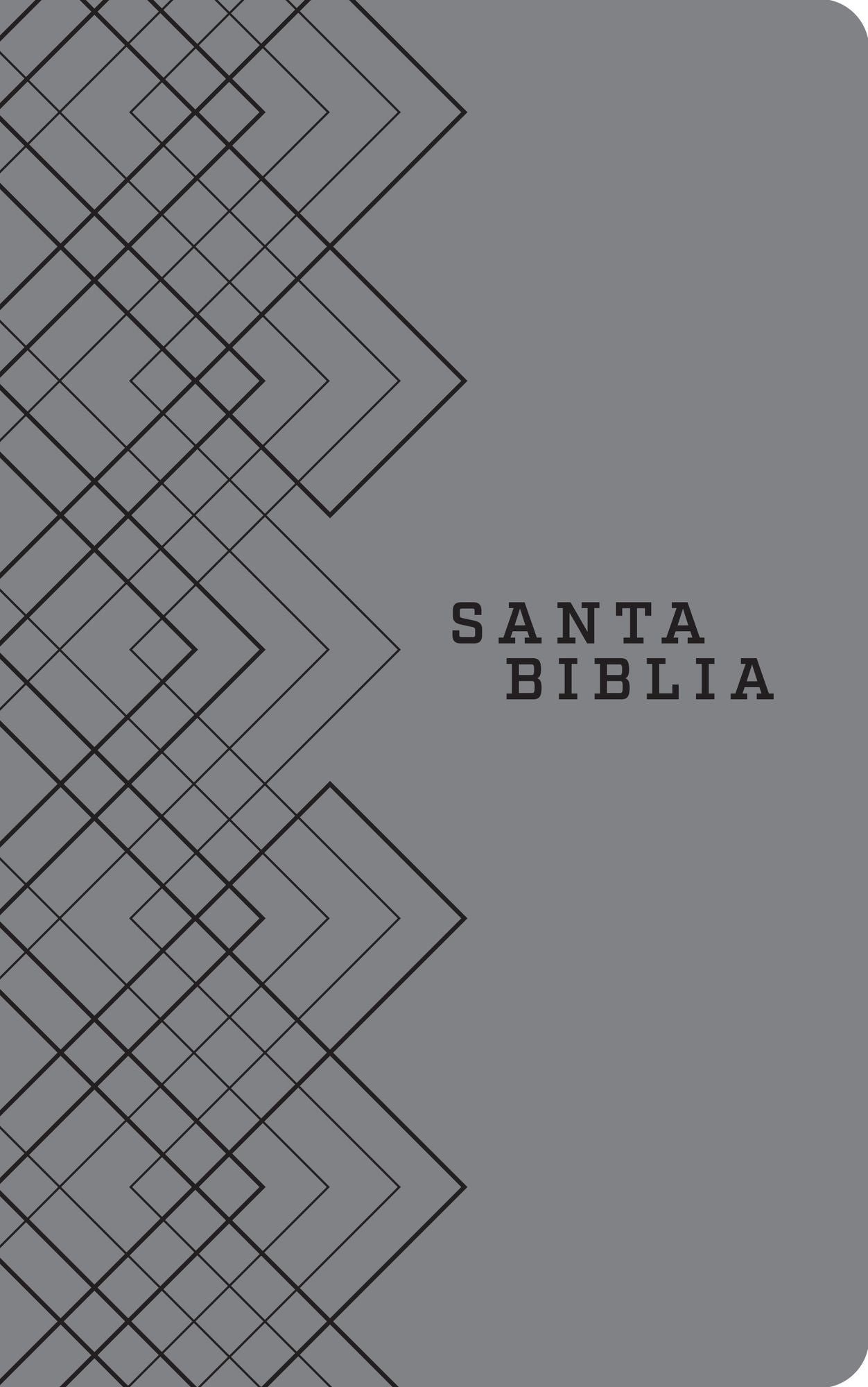 Santa Biblia / Holy Bible : Nueva traduccion viviente, gris sentipiel: edici¢n agape