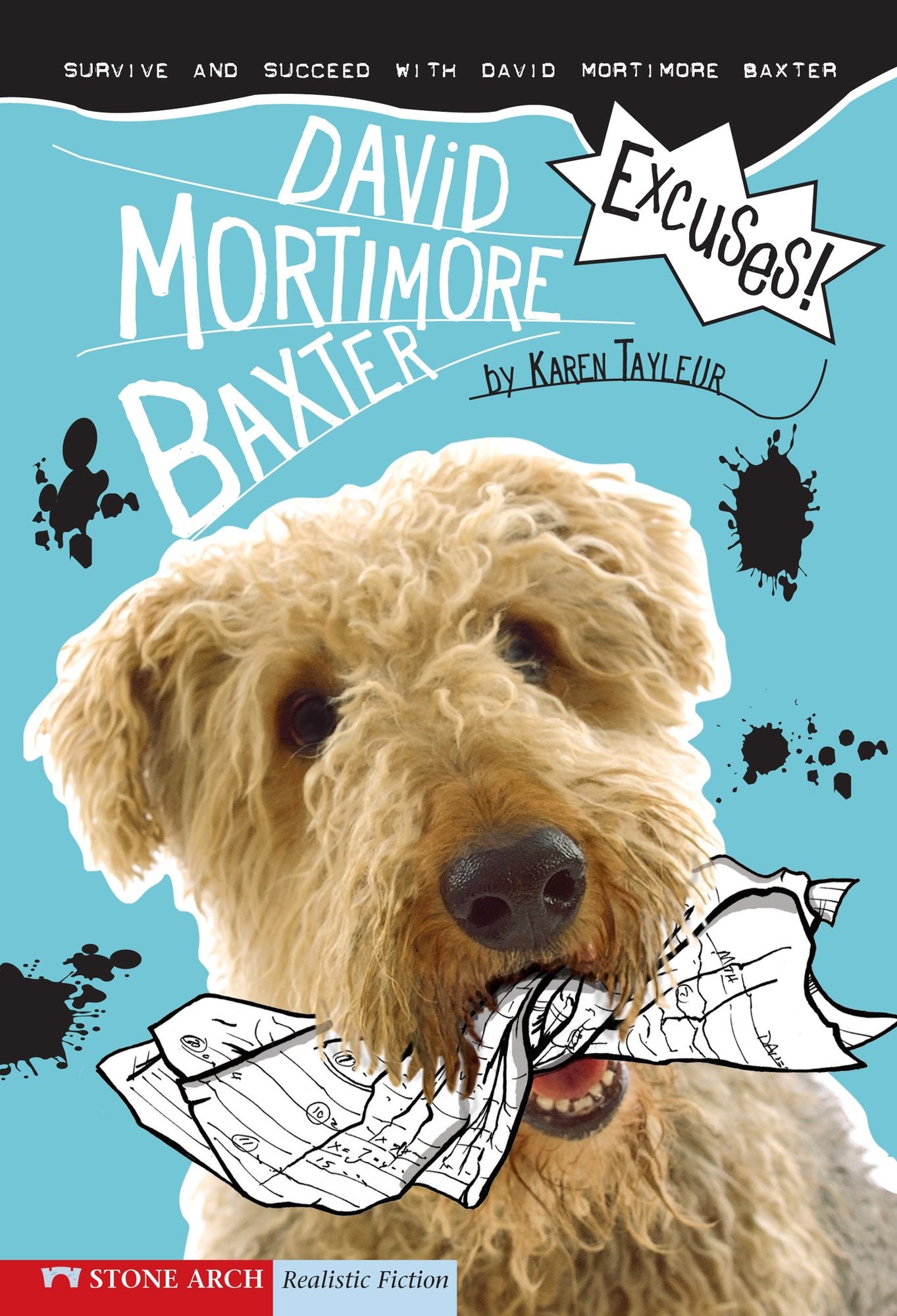 Excuses!: Survive and Succeed with David Mortimore Baxter