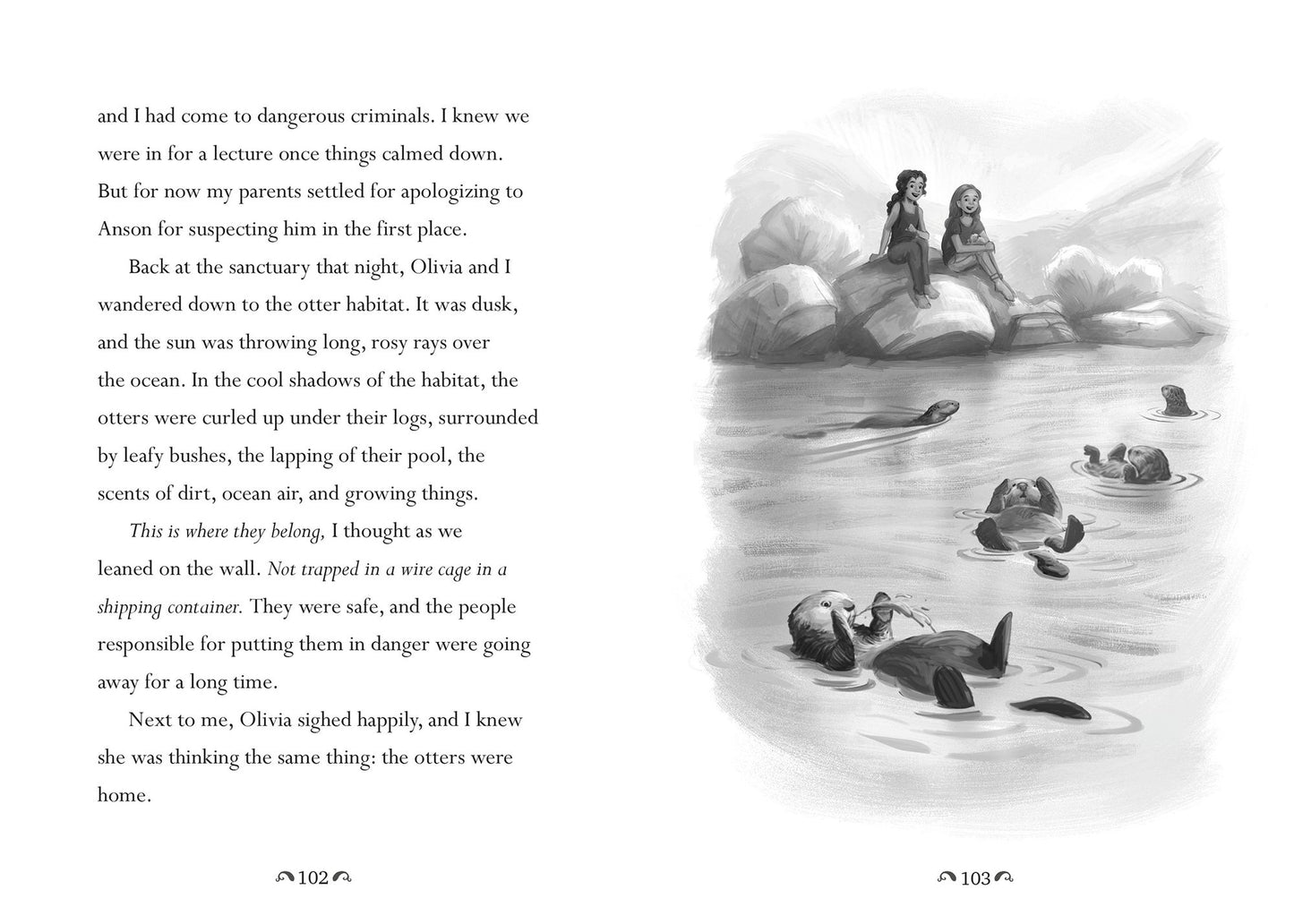 The Disappearing Otters