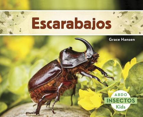 Escarabajos
