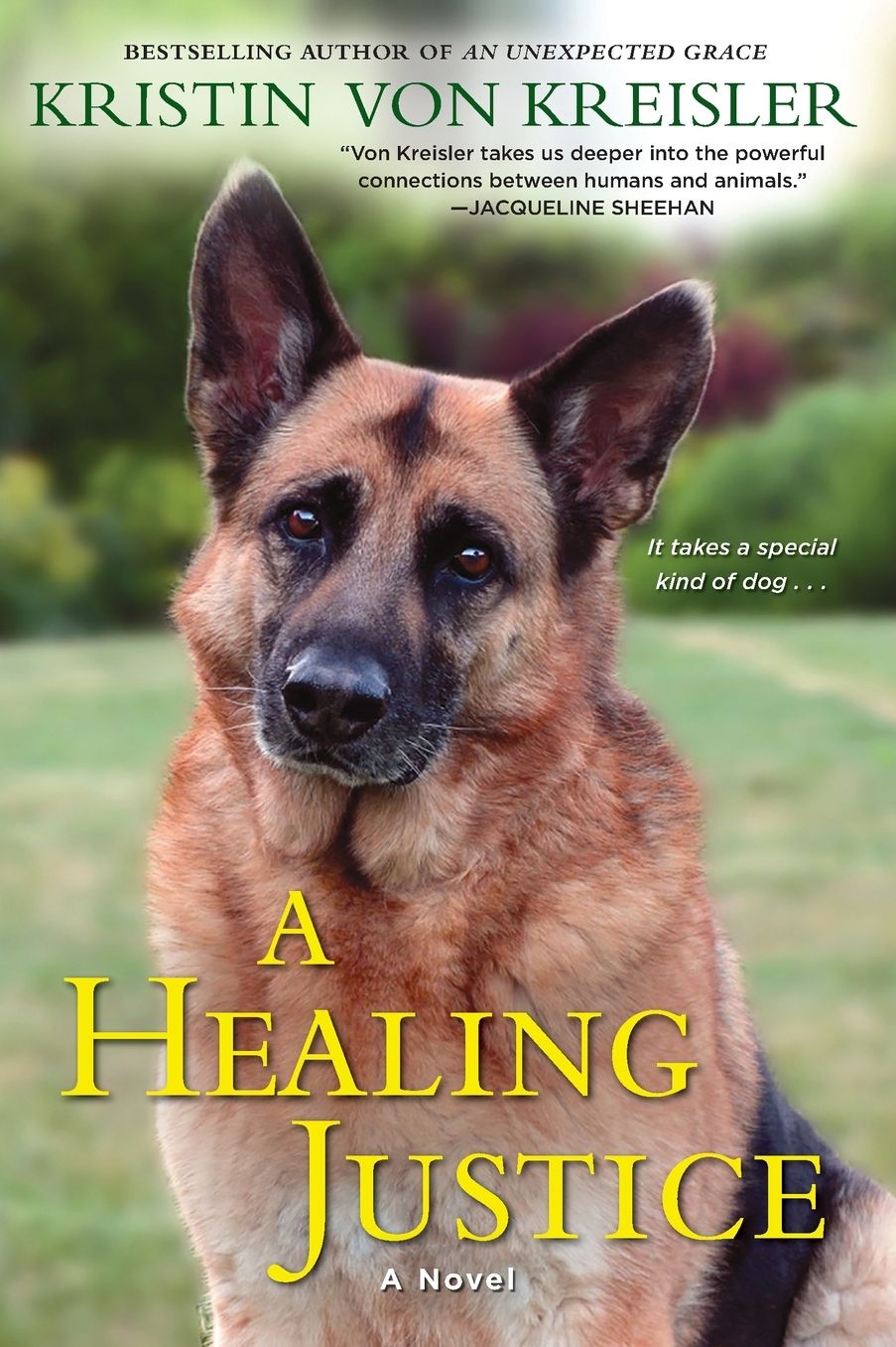 A Healing Justice