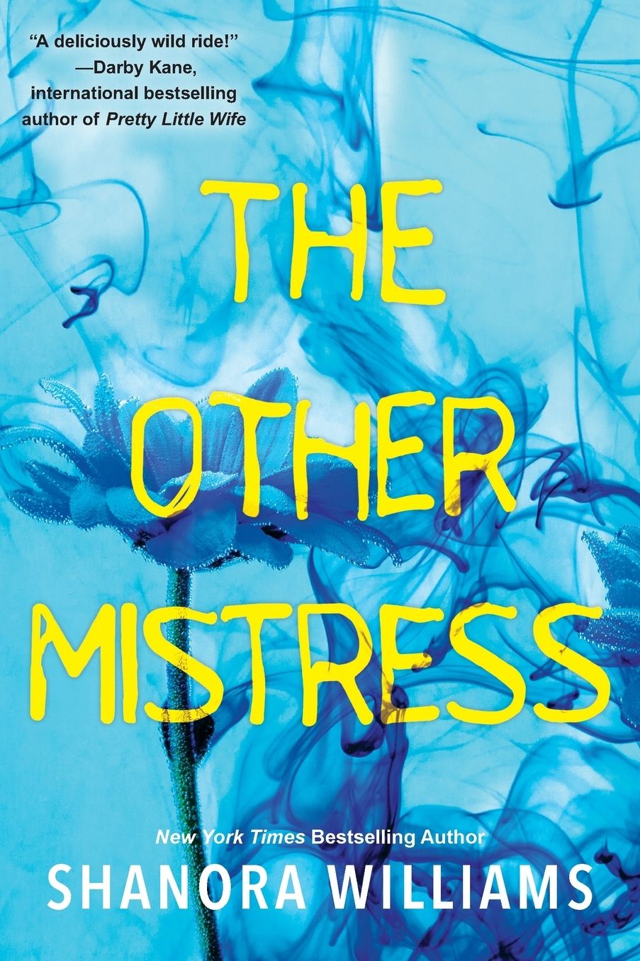 The Other Mistress: A Riveting Psychological Thriller with a Shocking Twist