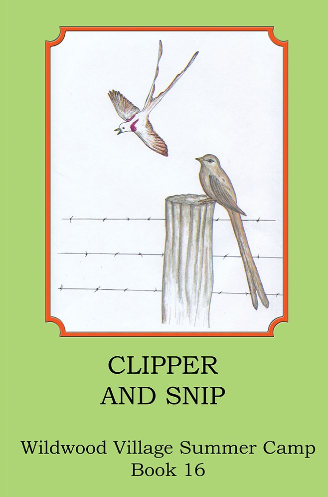 Clipper and Snip