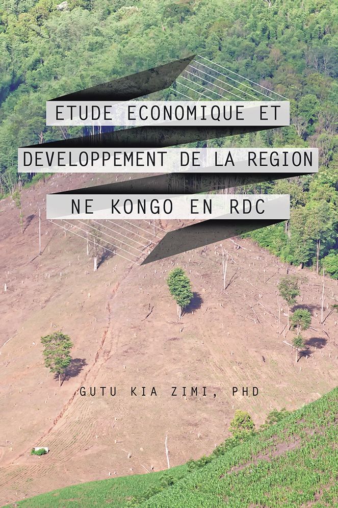 ETUDE ECONOMIQUE ET DEVELOPPEMENT DE LA REGION NE KONGO EN RDC