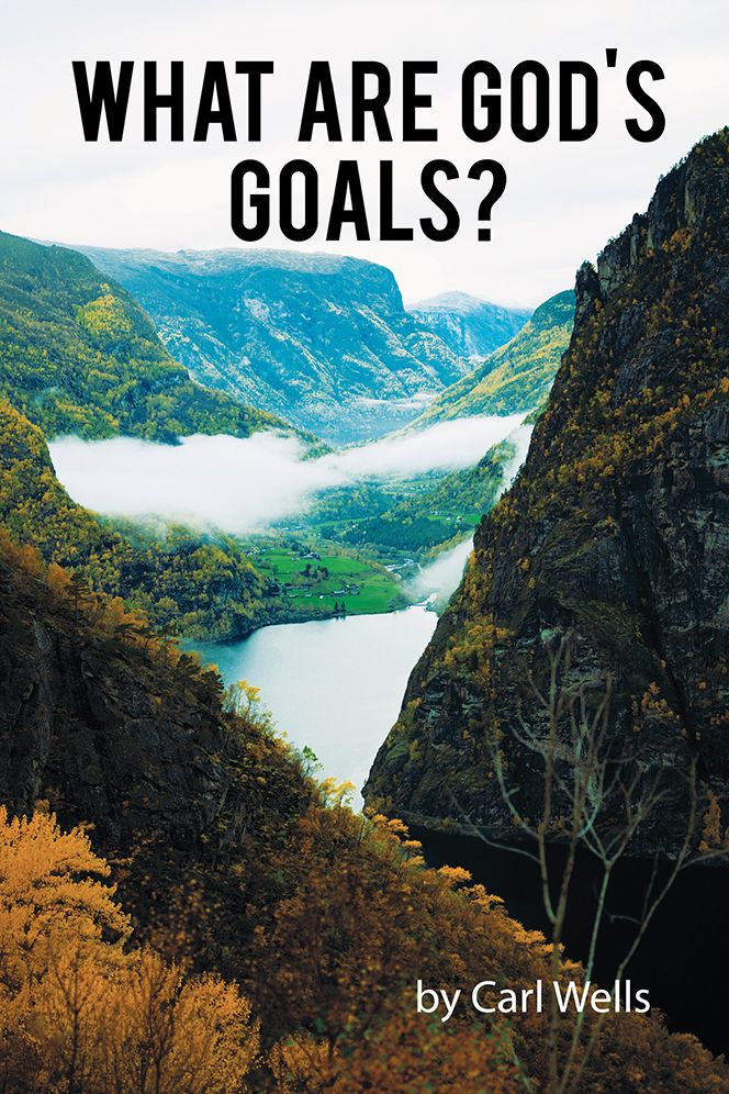 What Are God's Goals?