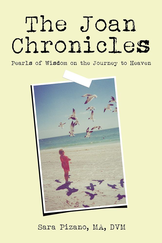 The Joan Chronicles: Pearls of Wisdom on the Journey to Heaven