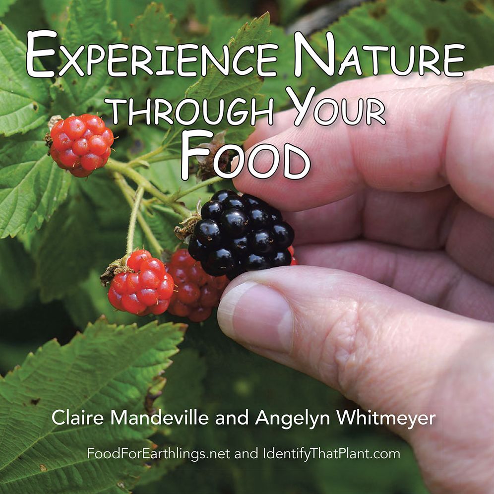 Experience Nature Through Your Food: FoodForEarthlings.net and IdentifyThatPlant.com
