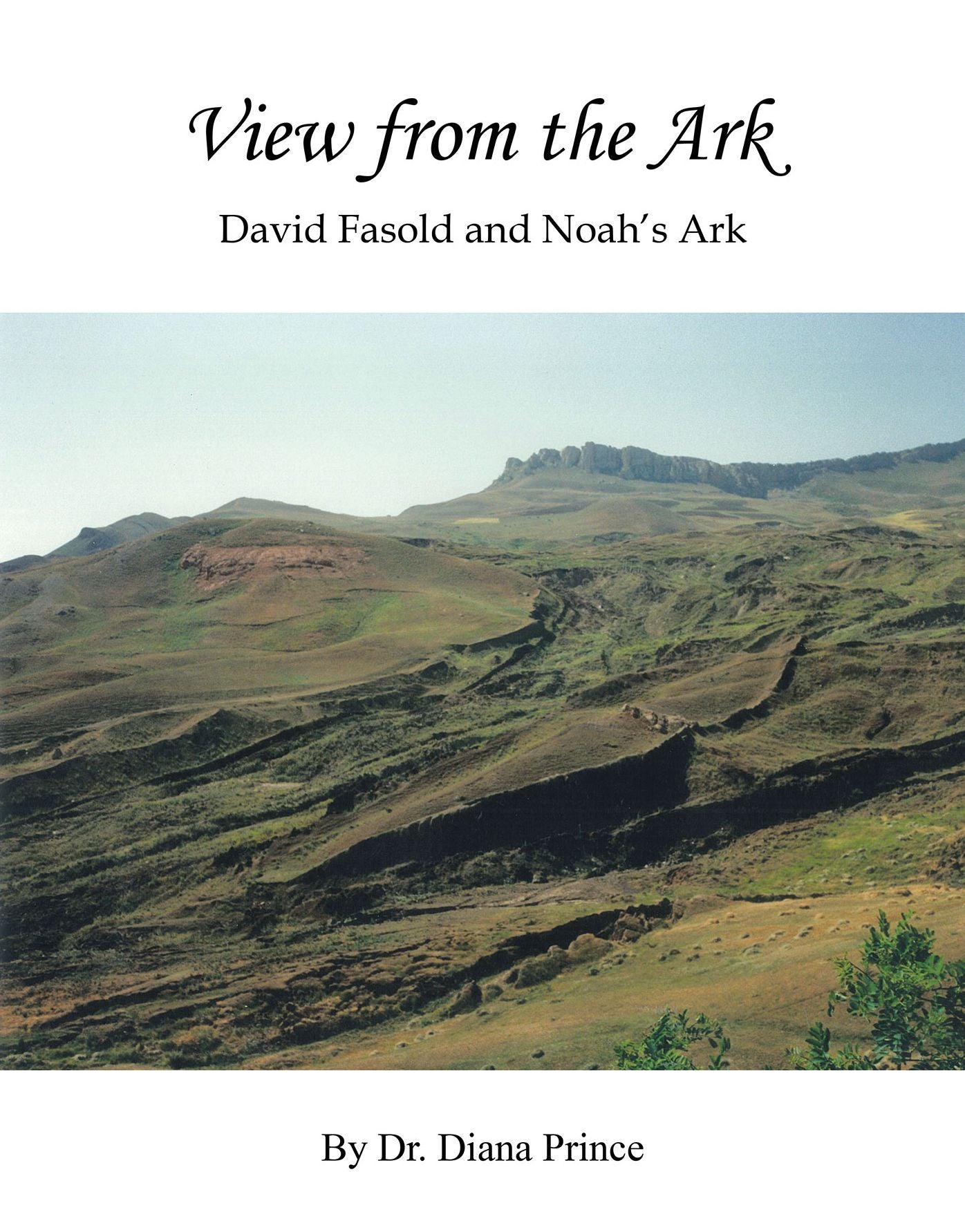 View from the Ark: David Fasold and Noah's Ark