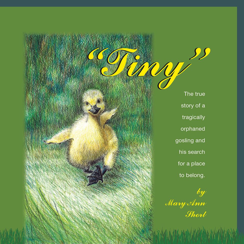 Tiny