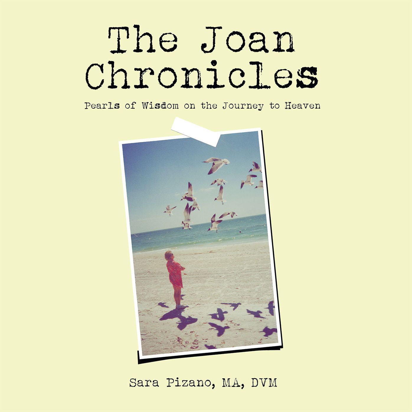The Joan Chronicles: Pearls of Wisdom on the Journey to Heaven