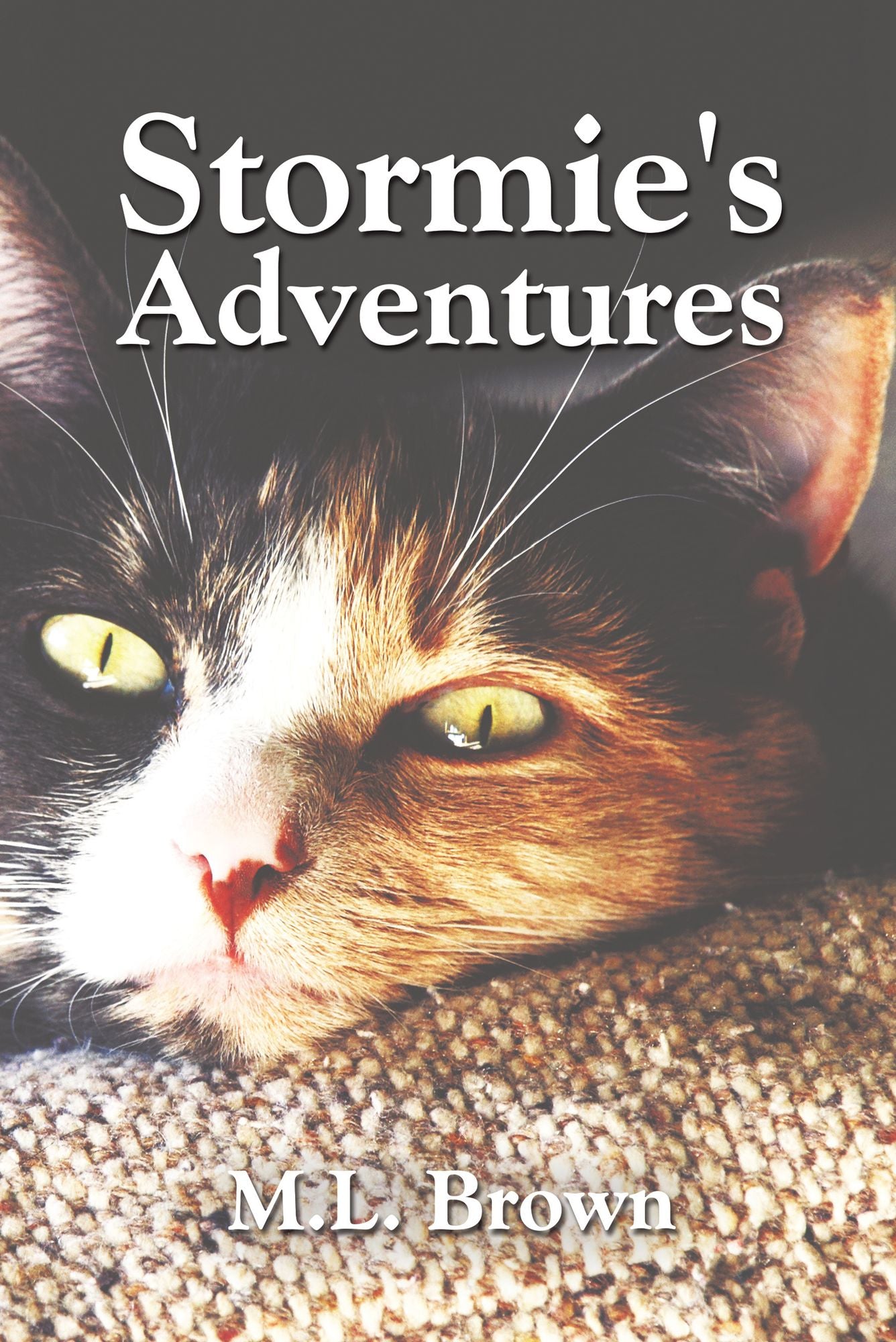 Stormie's Adventures