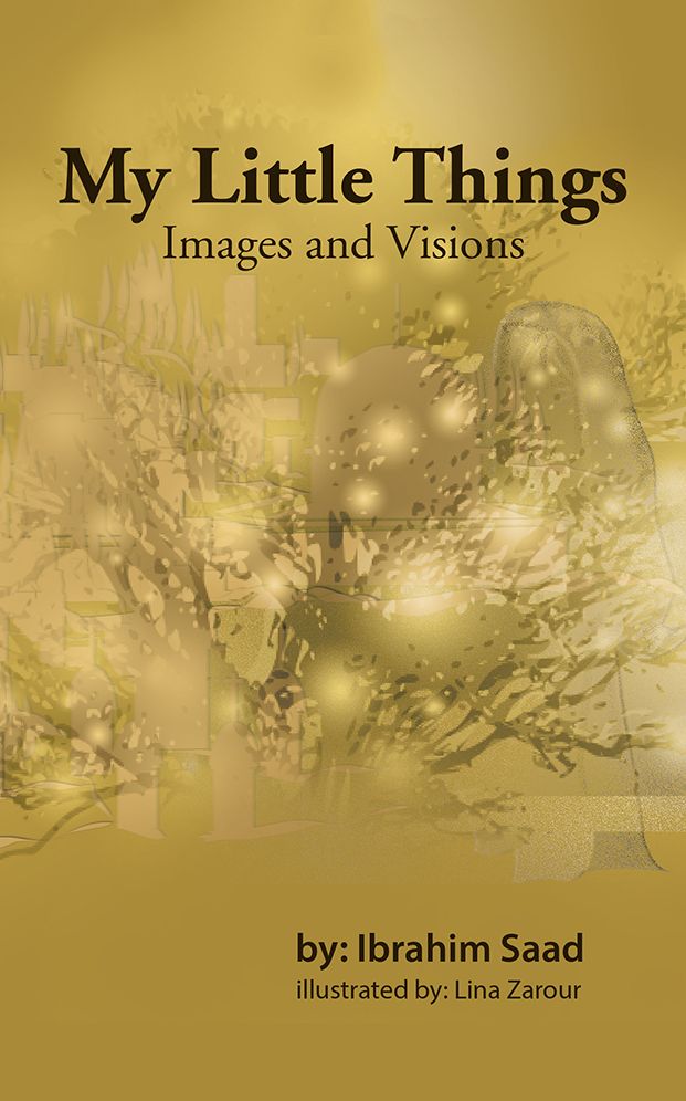 My Little Things: Images and Visions