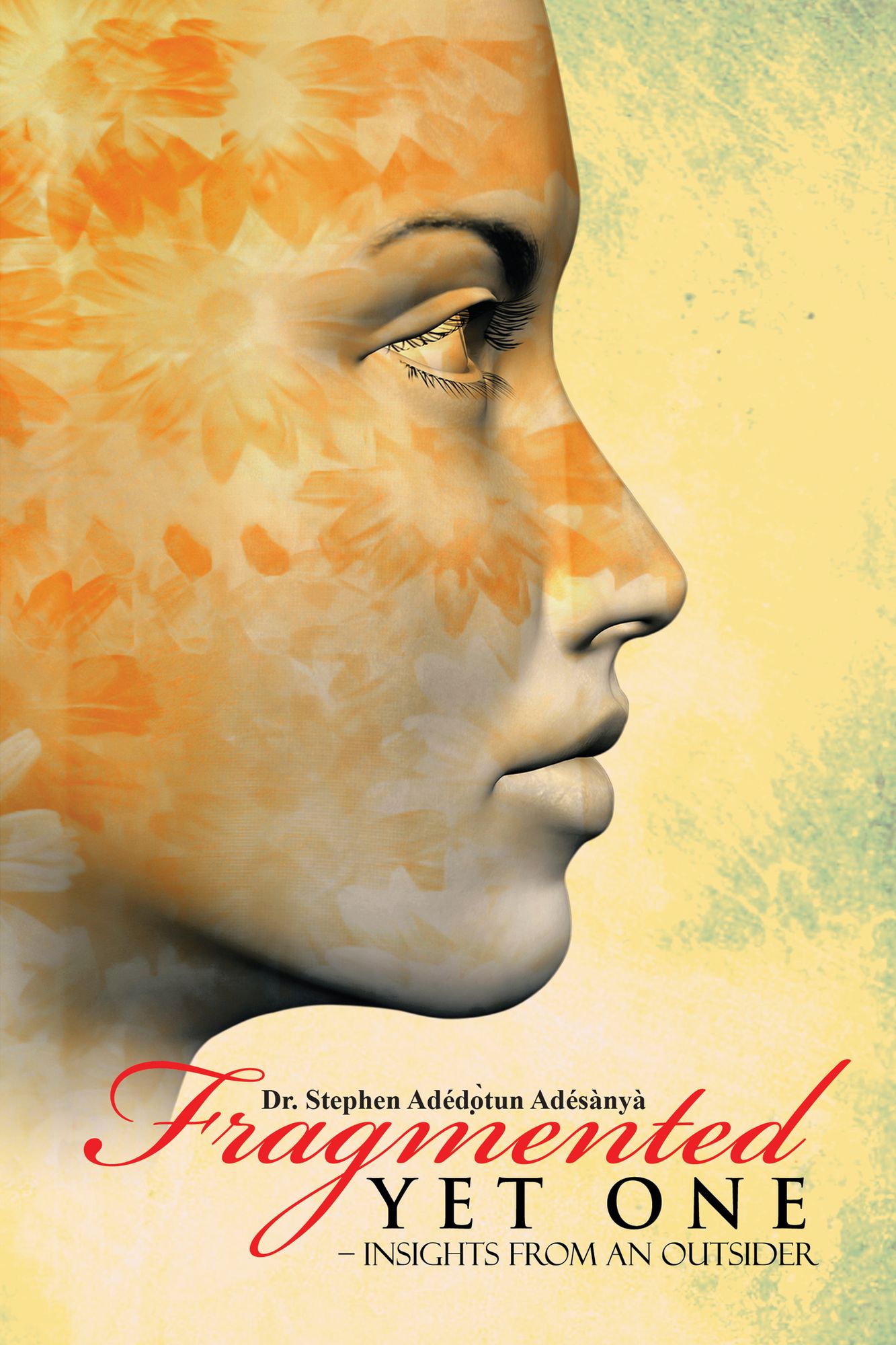 Fragmented yet One: - Insights from an Outsider