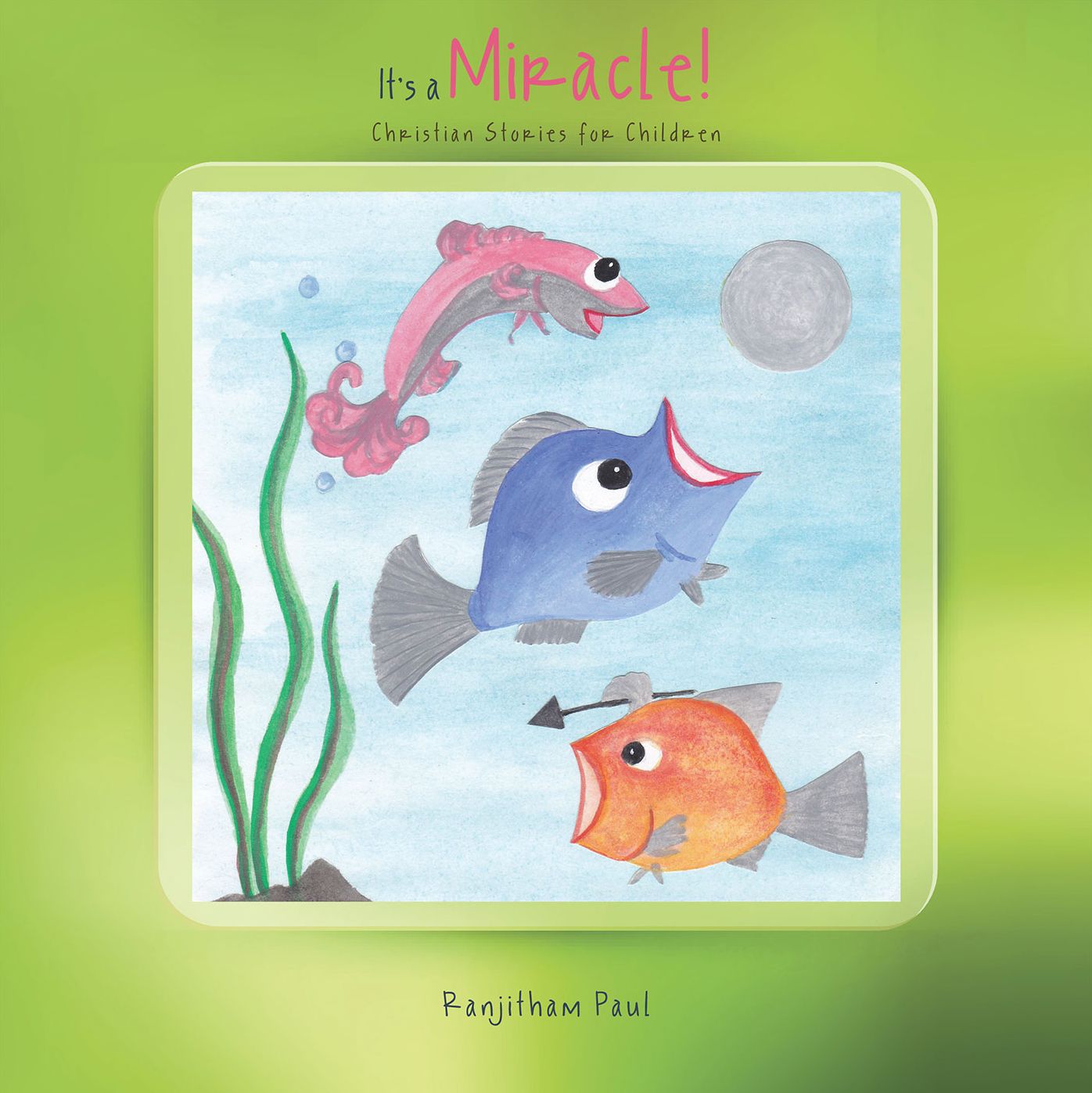 It's a Miracle!: Christian Stories for Children