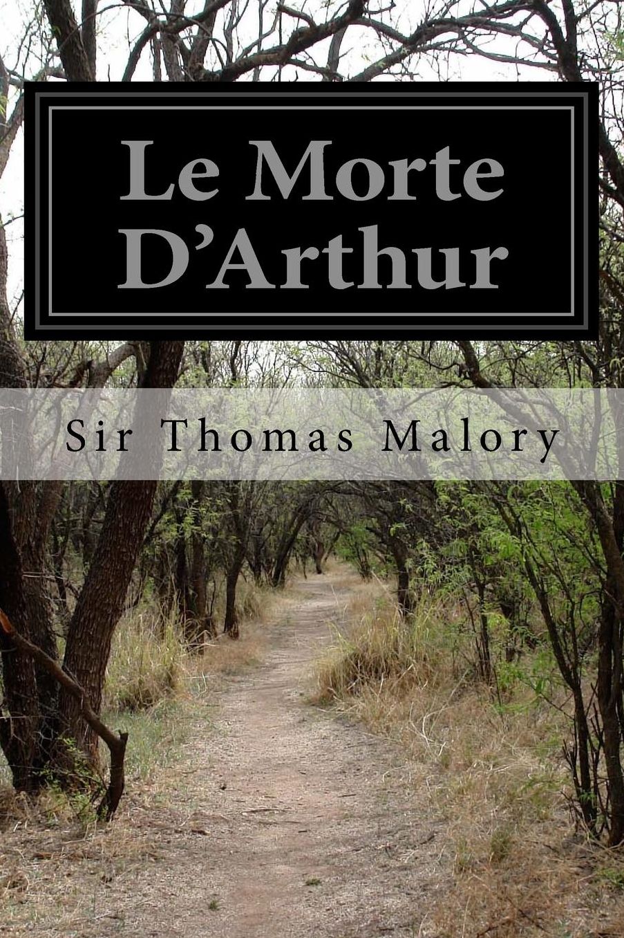Le Morte D'Arthur