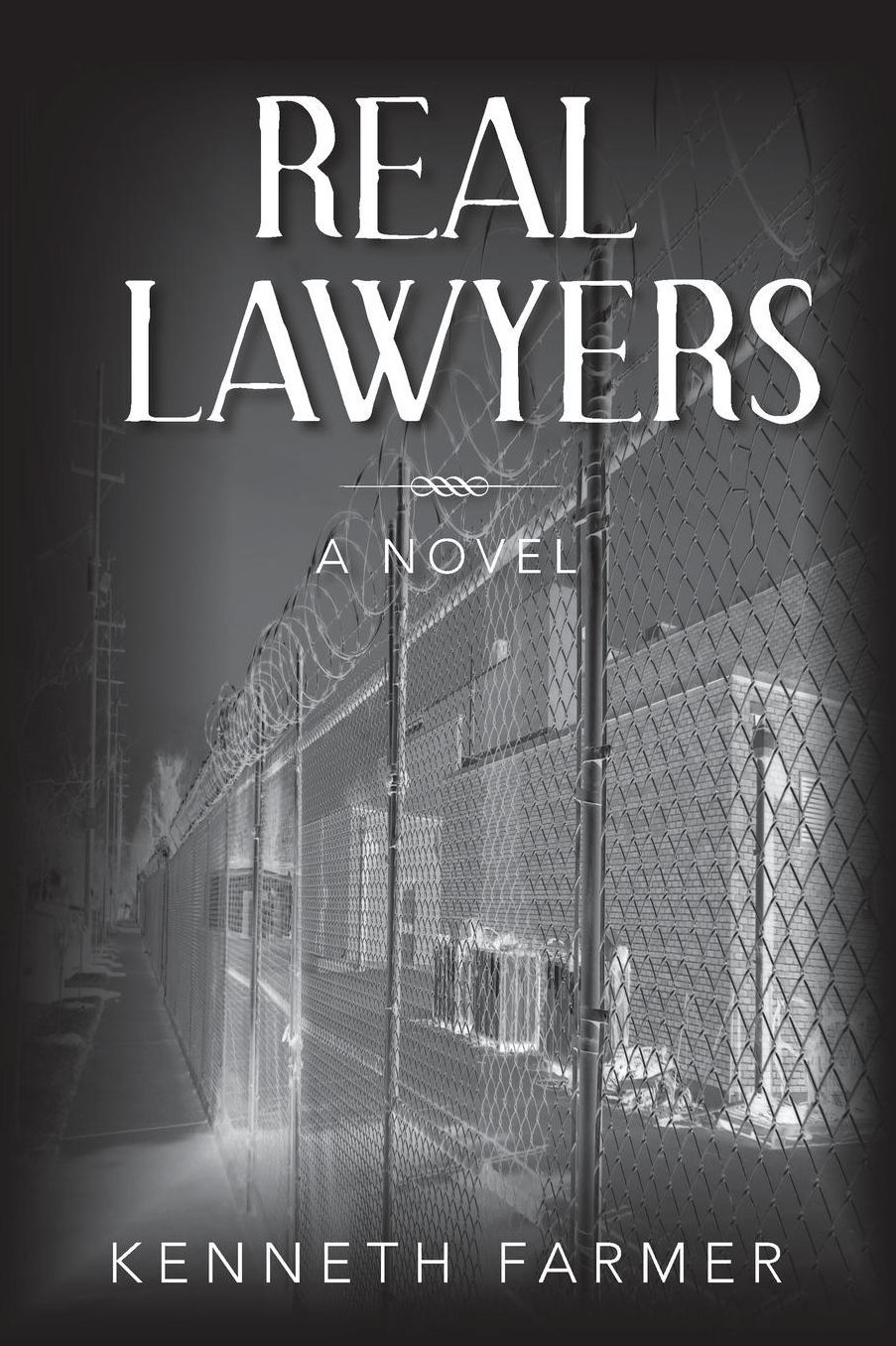 Real Lawyers: A Novel