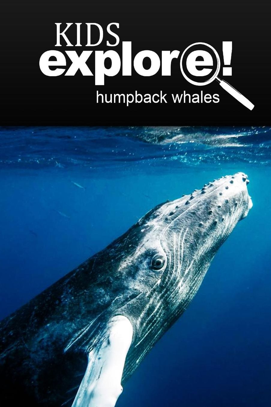 Humpback Whales - Kids Explore: Animal books nonfiction - books ages 5-6