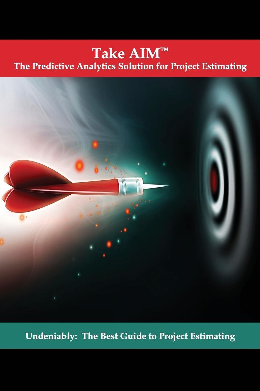 Take AIM: Undeniably: The Best Guide to Project Estimating