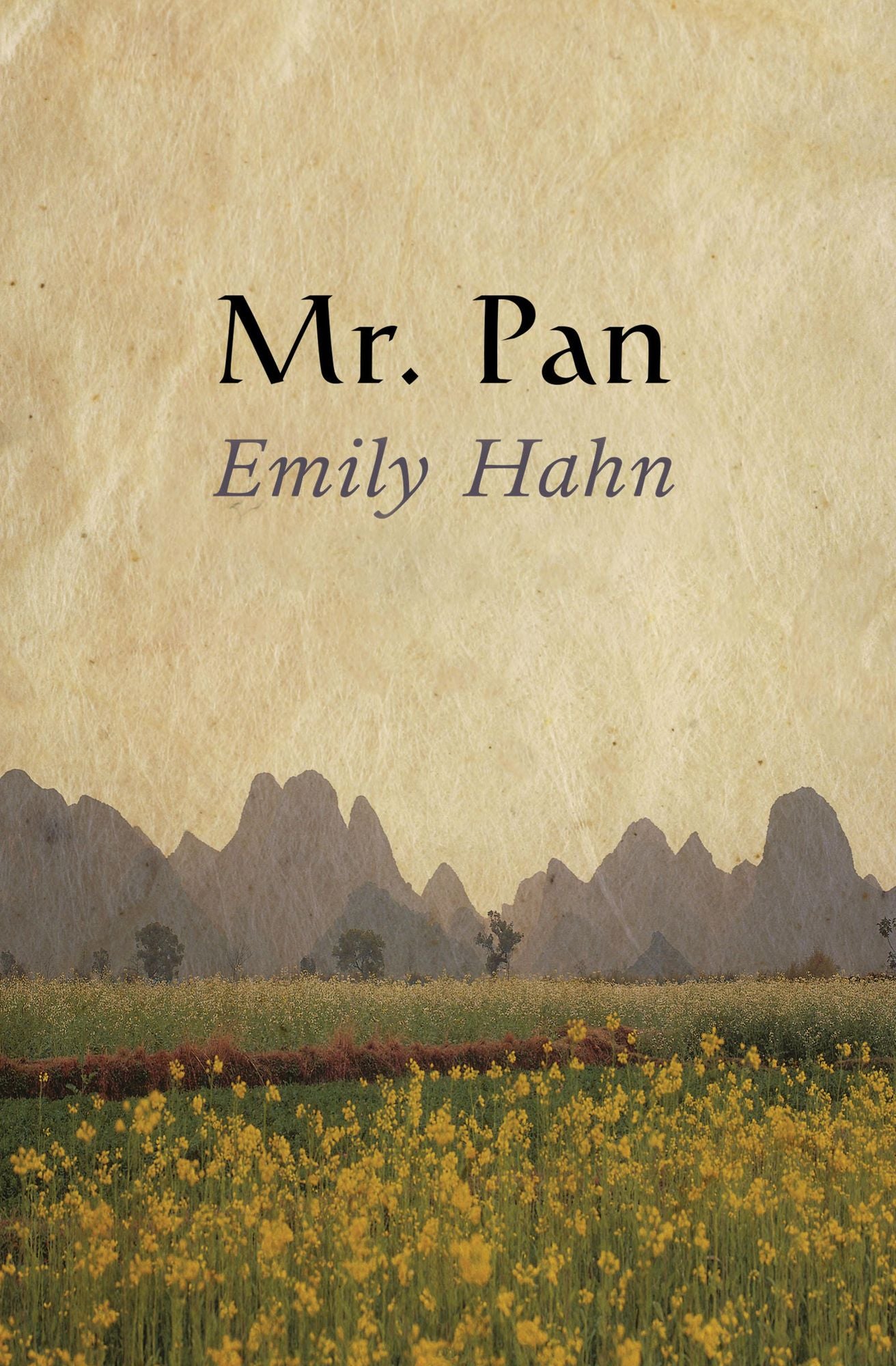 Mr. Pan: A Memoir