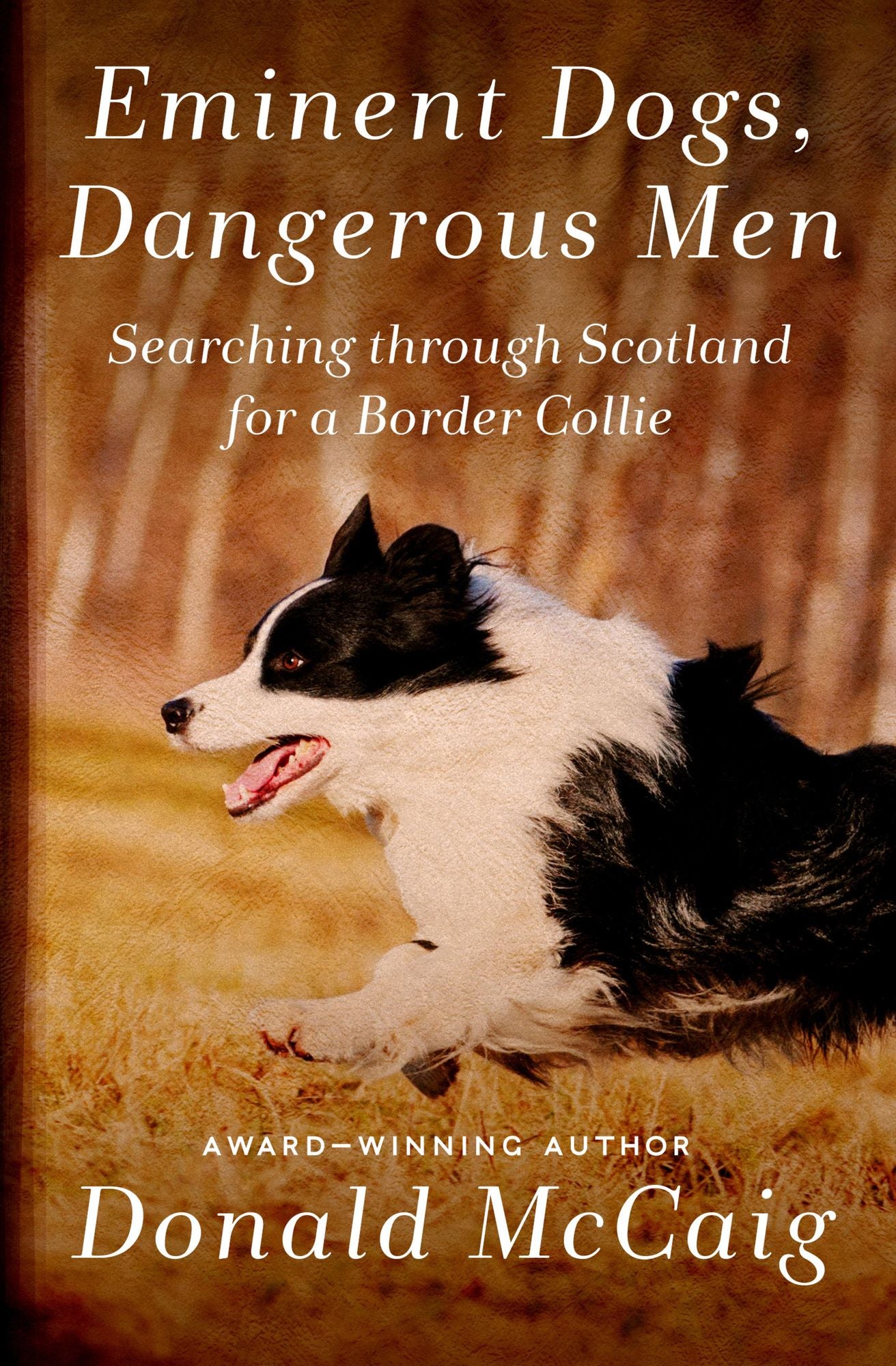 Eminent Dogs, Dangerous Men: Searching Through Scotland for a Border Collie