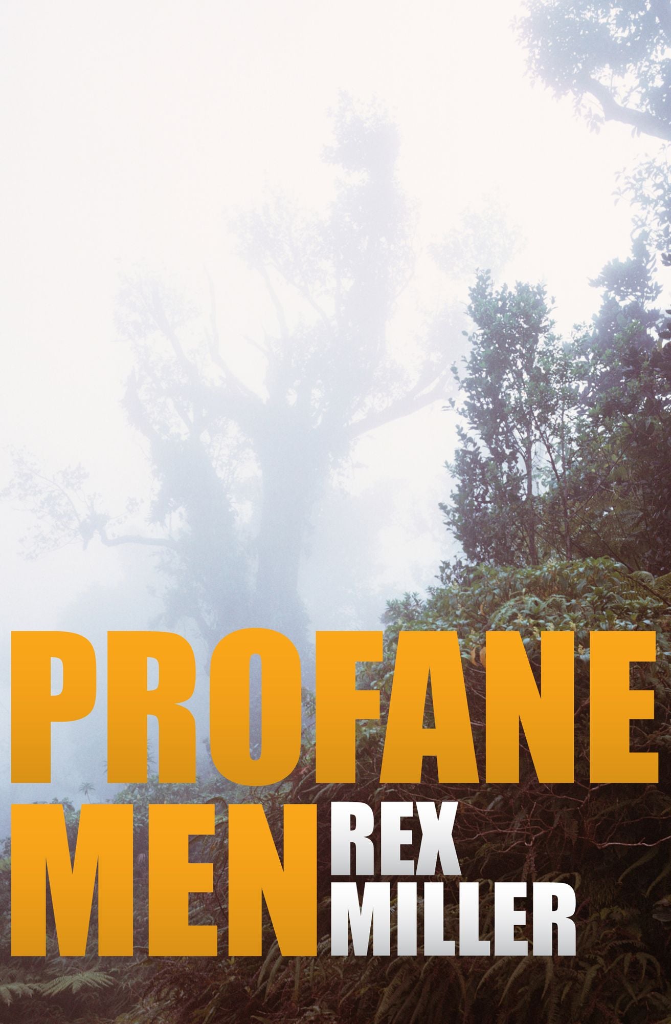 Profane Men