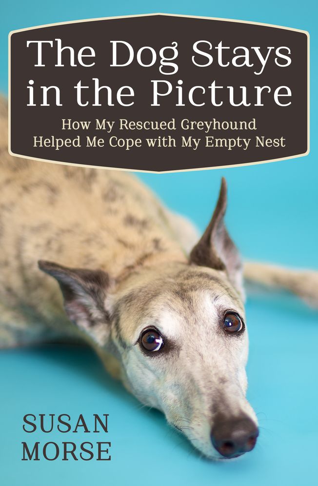 The Dog Stays in the Picture: How My Rescued Greyhound Helped Me Cope with My Empty Nest