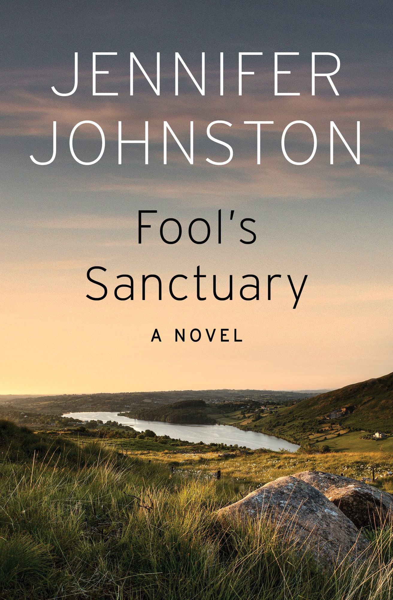Fool's Sanctuary: A Novel