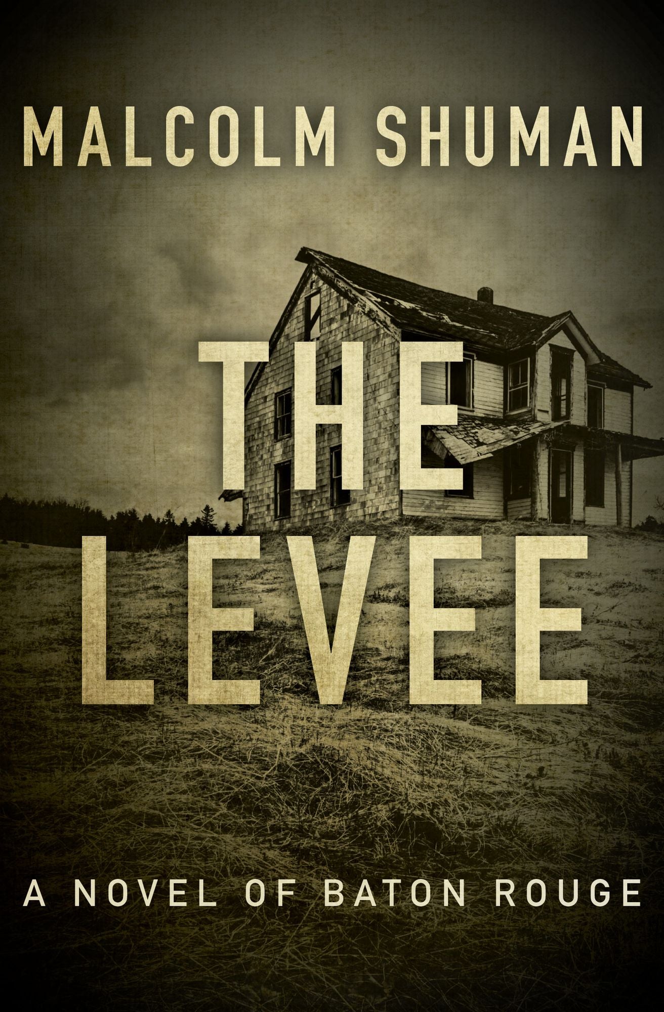 The Levee: A Novel of Baton Rouge