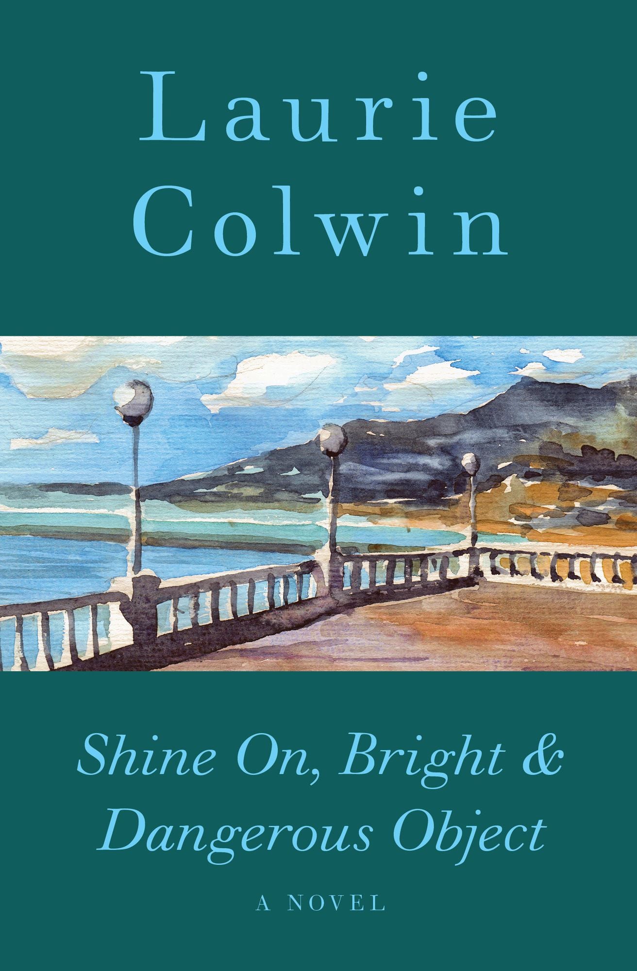 Shine On, Bright & Dangerous Object: A Novel