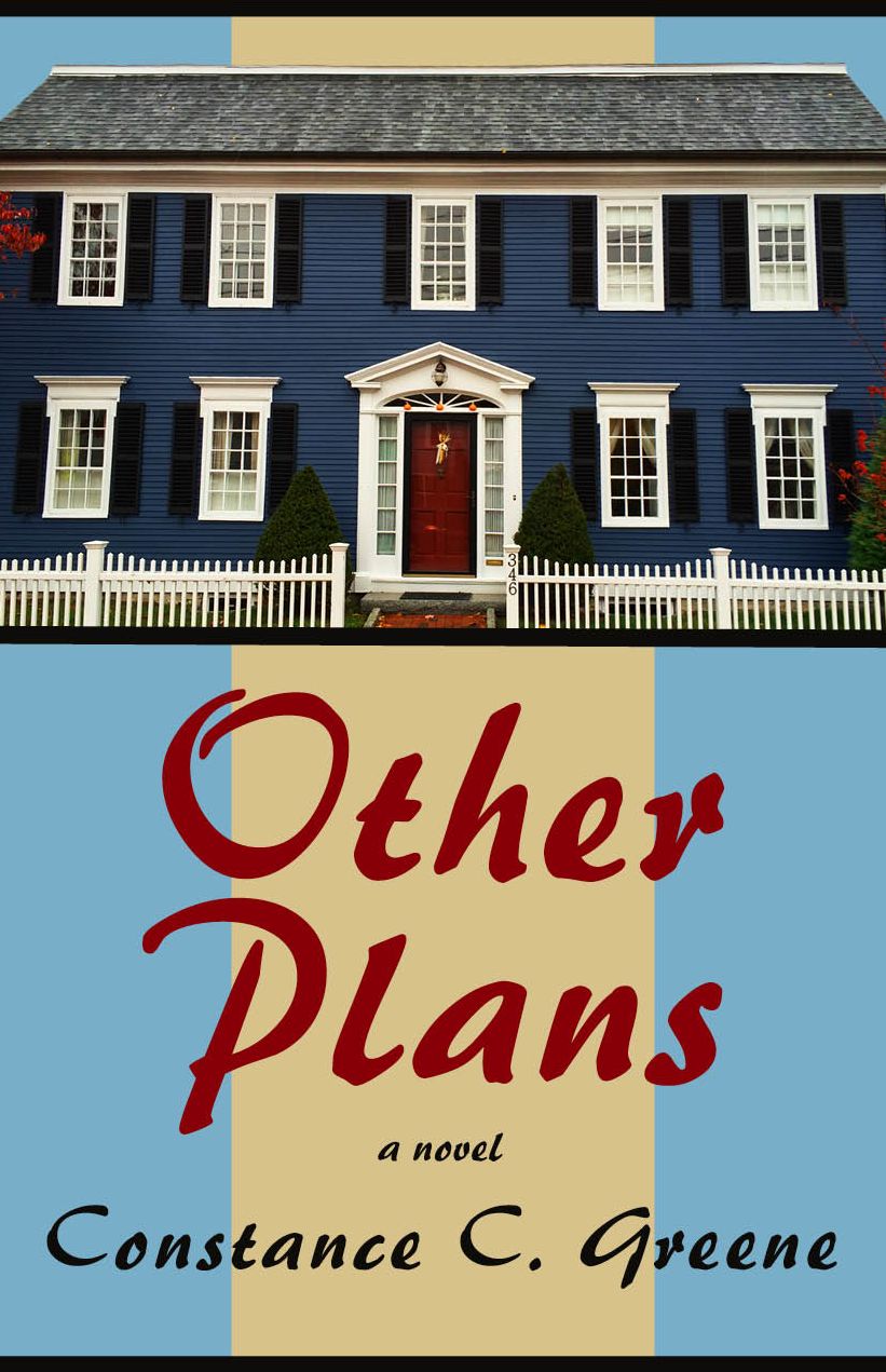Other Plans: A Novel