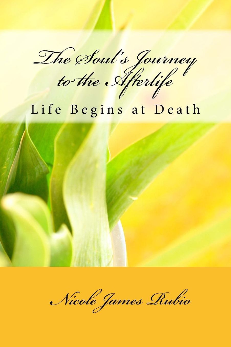 The Soul's Journey to the Afterlife: Life Begins at Death