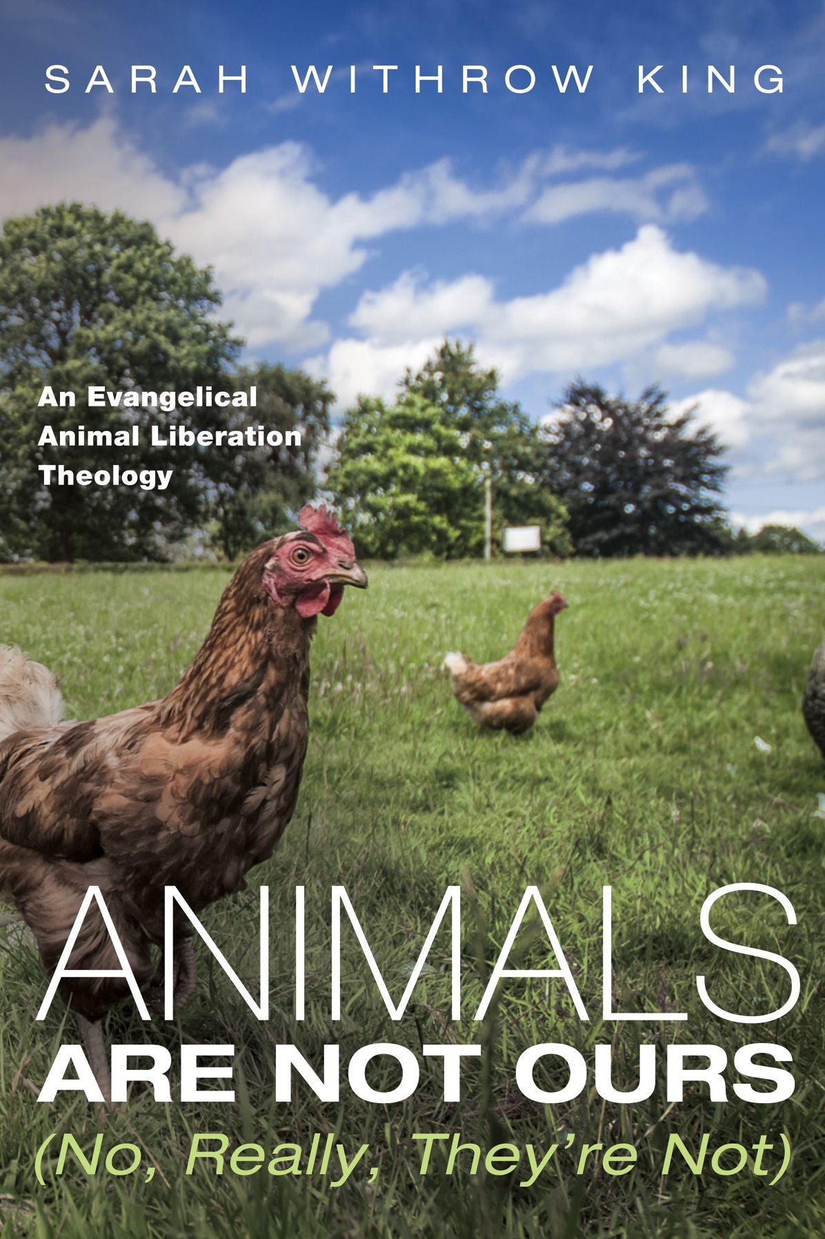 Animals Are Not Ours (No, Really, They're Not): An Evangelical Animal Liberation Theology