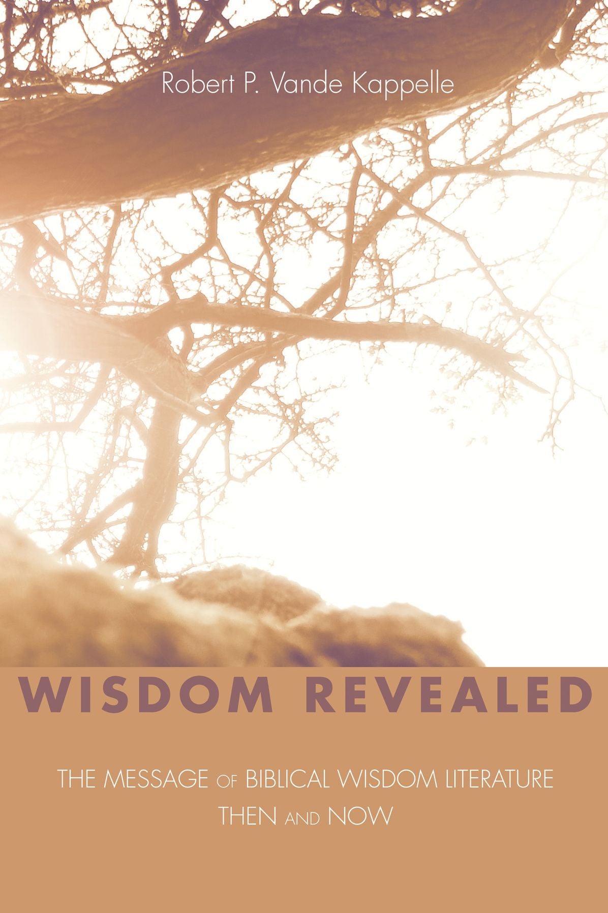 Wisdom Revealed: The Message of Biblical Wisdom Literature--Then and Now