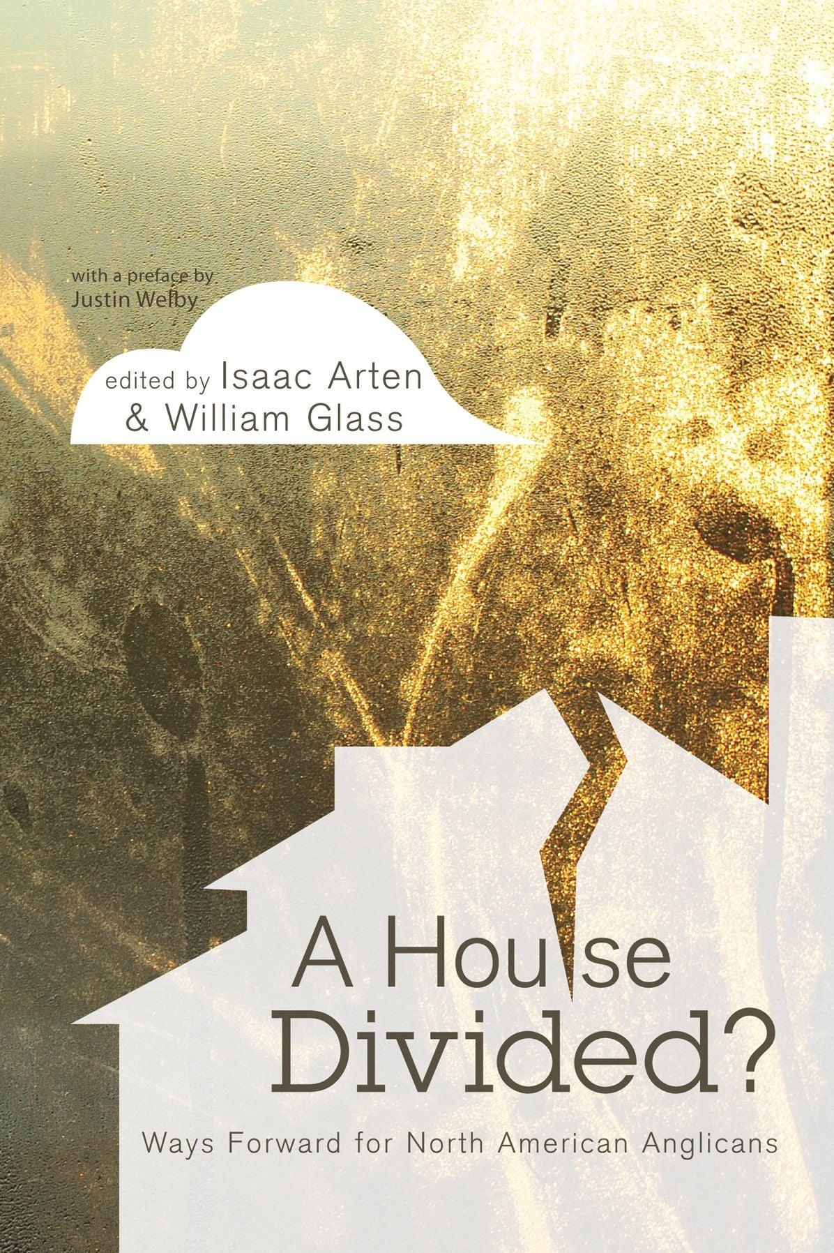 A House Divided? : Ways Forward for North American Anglicans