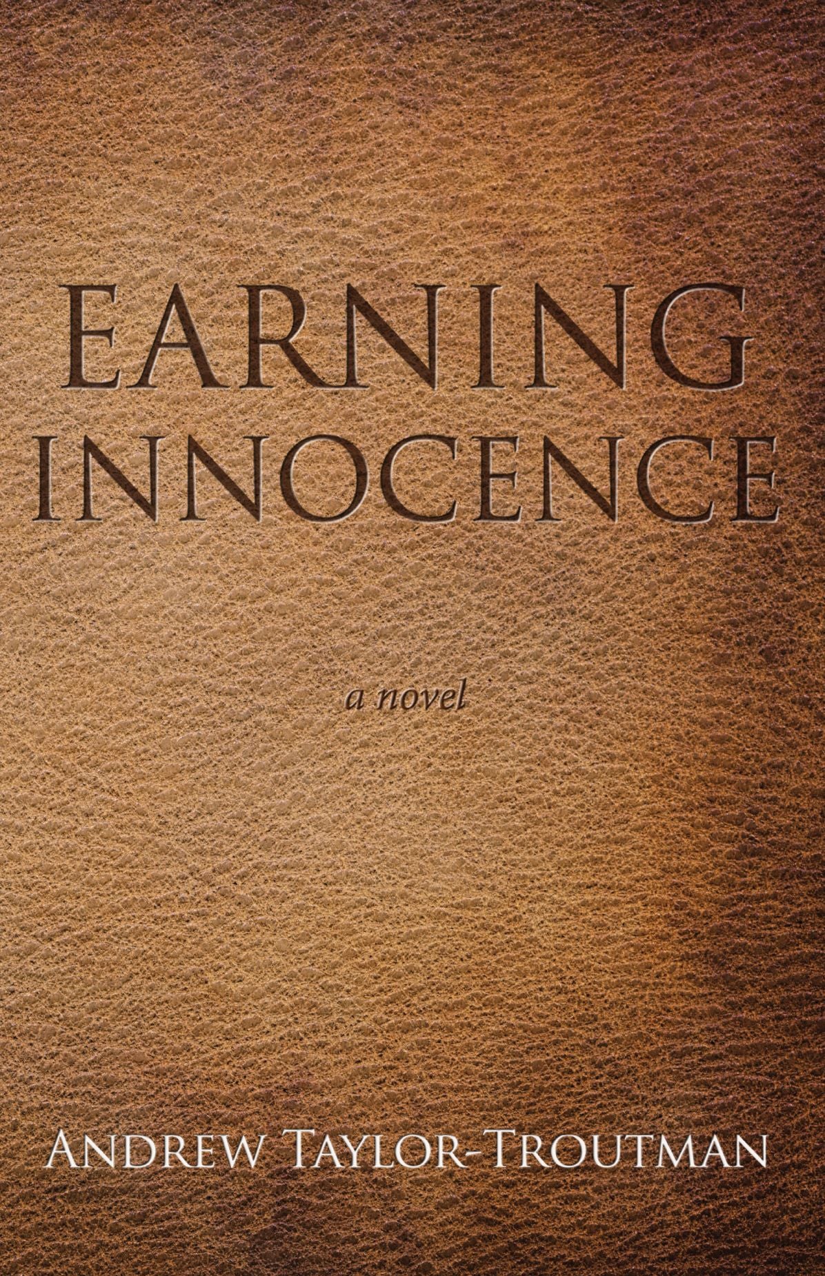 Earning Innocence: A Novel