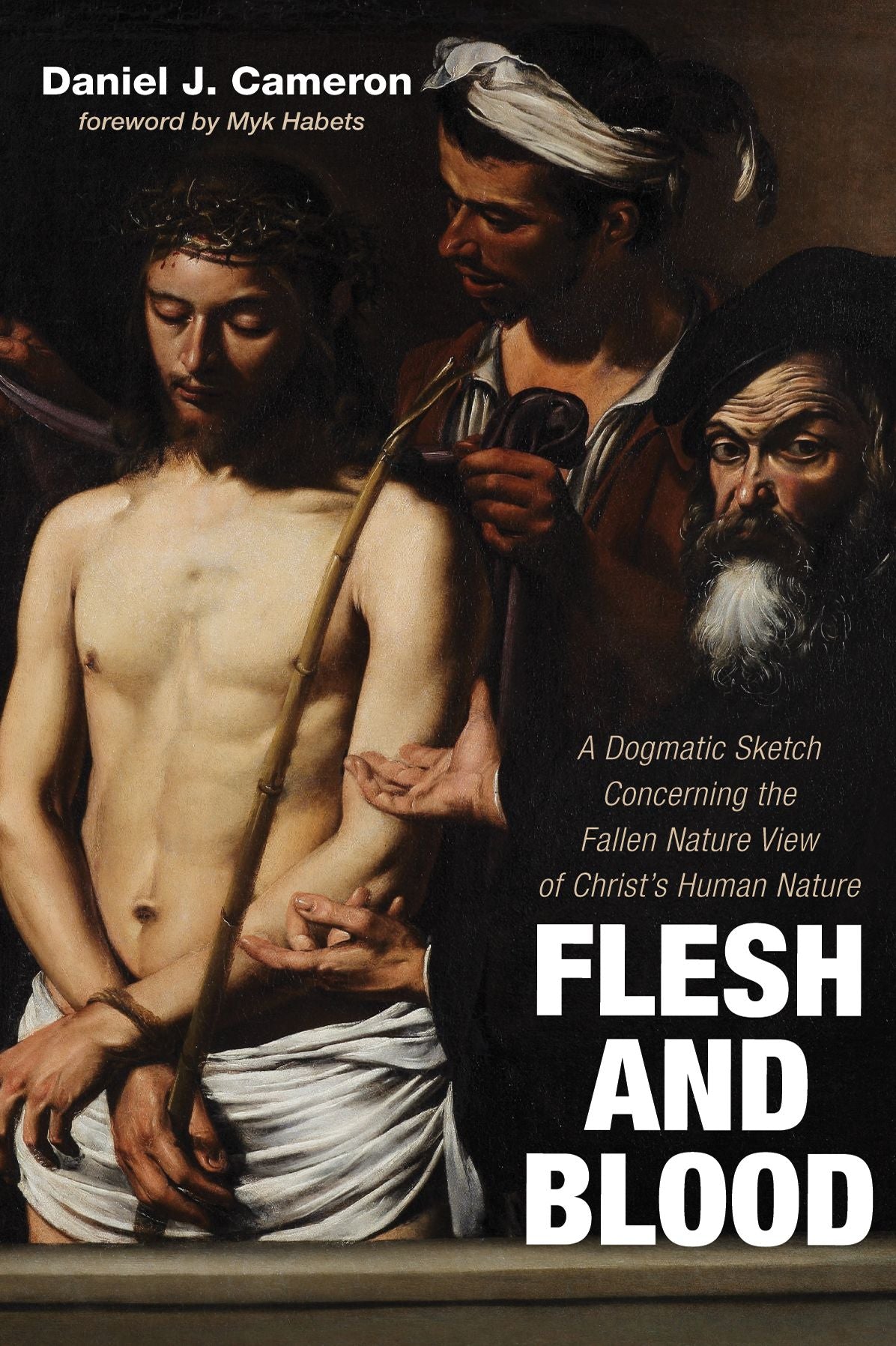 Flesh and Blood: A Dogmatic Sketch Concerning the Fallen Nature View of Christt=°