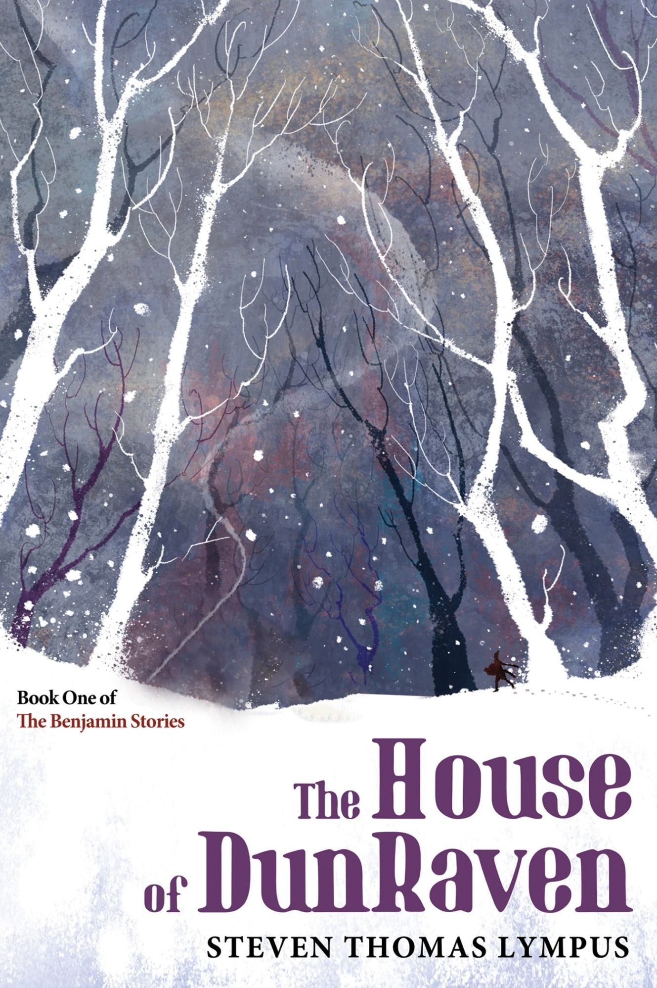 The House of DunRaven: Book One of The Benjamin Stories