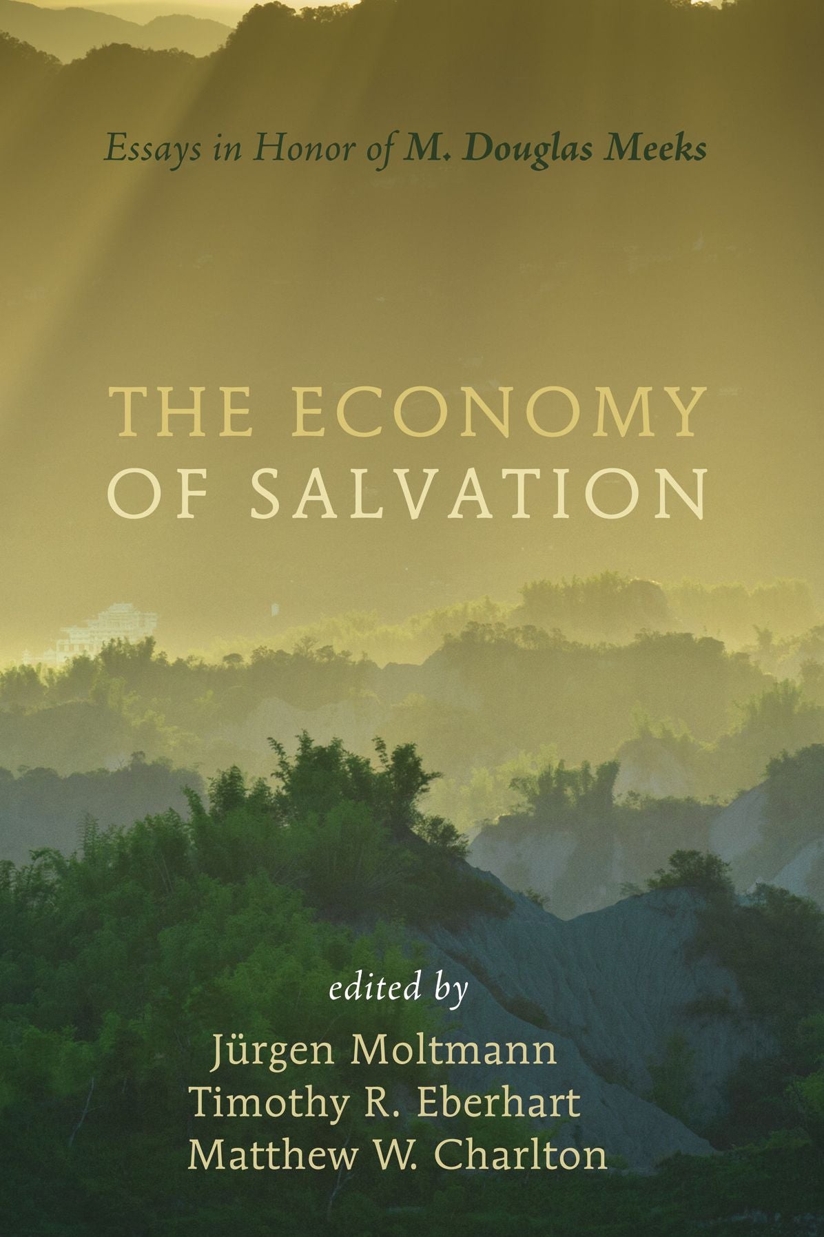 The Economy of Salvation: Essays in Honor of M. Douglas Meeks