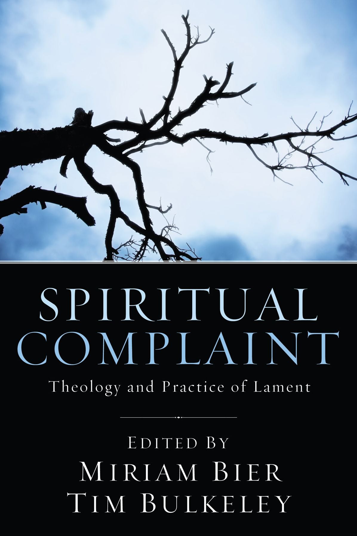 Spiritual Complaint: The Theology and Practice of Lament