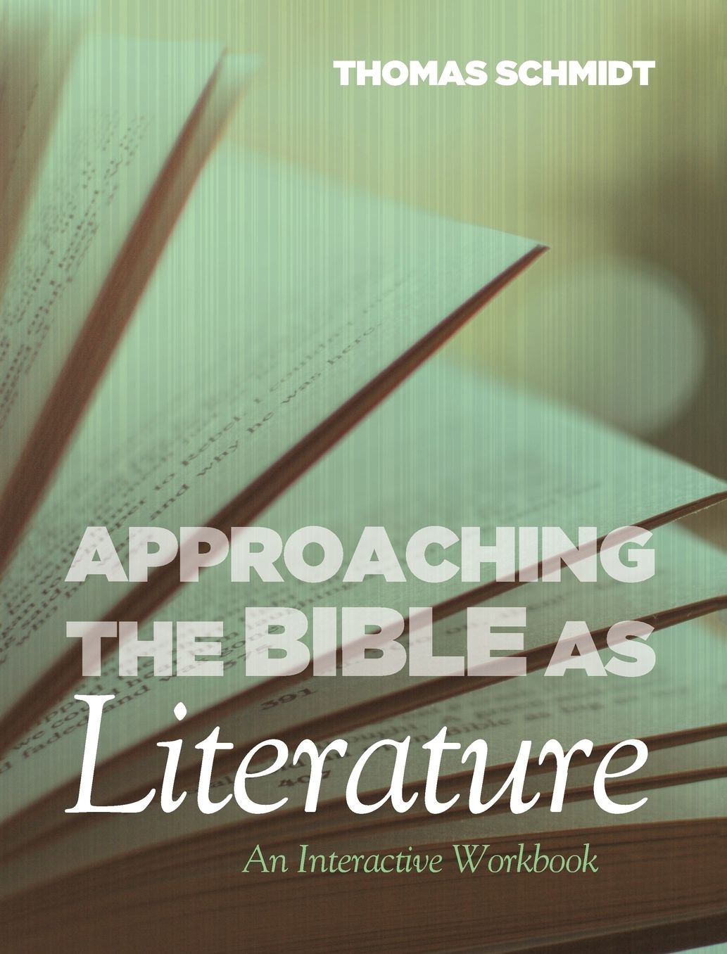 Approaching the Bible As Literature : An Interactive Workbook