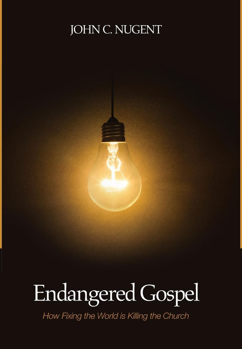 Endangered Gospel : How Fixing the World Is Killing the Church