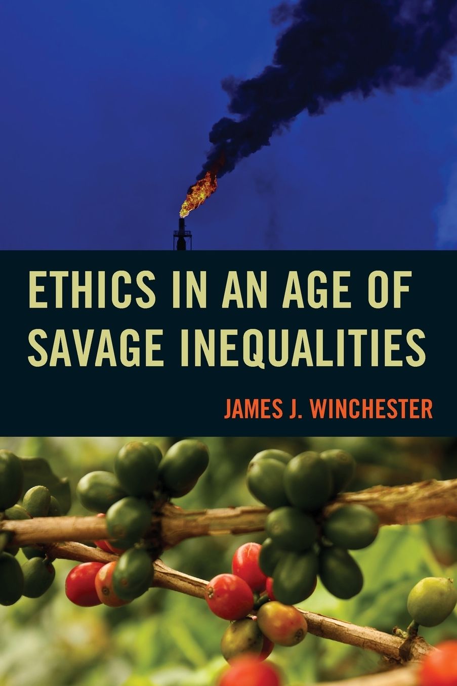 Ethics In An Age of Savage Inequalities