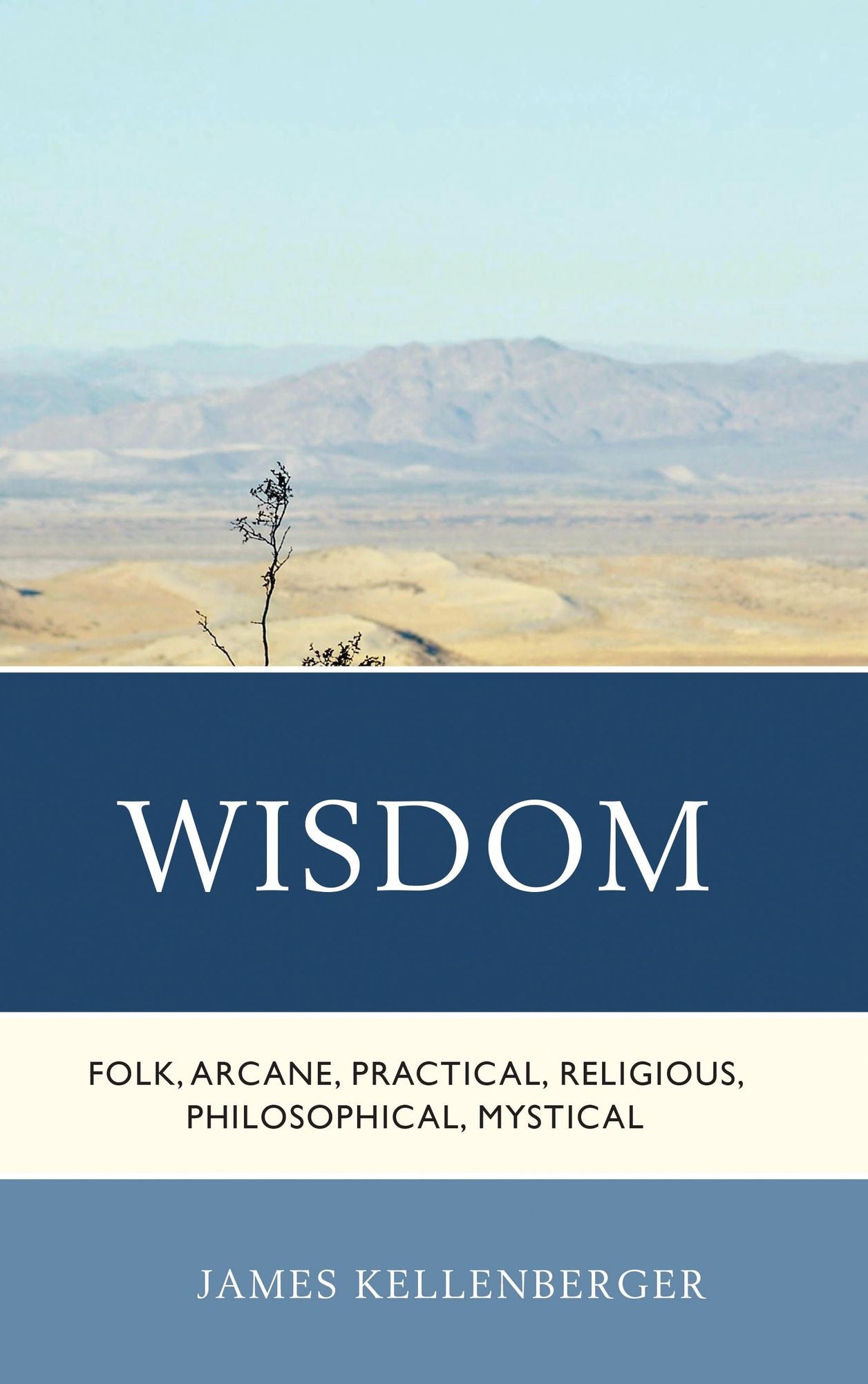 Wisdom: Folk, Arcane, Practical, Religious, Philosophical, Mystical