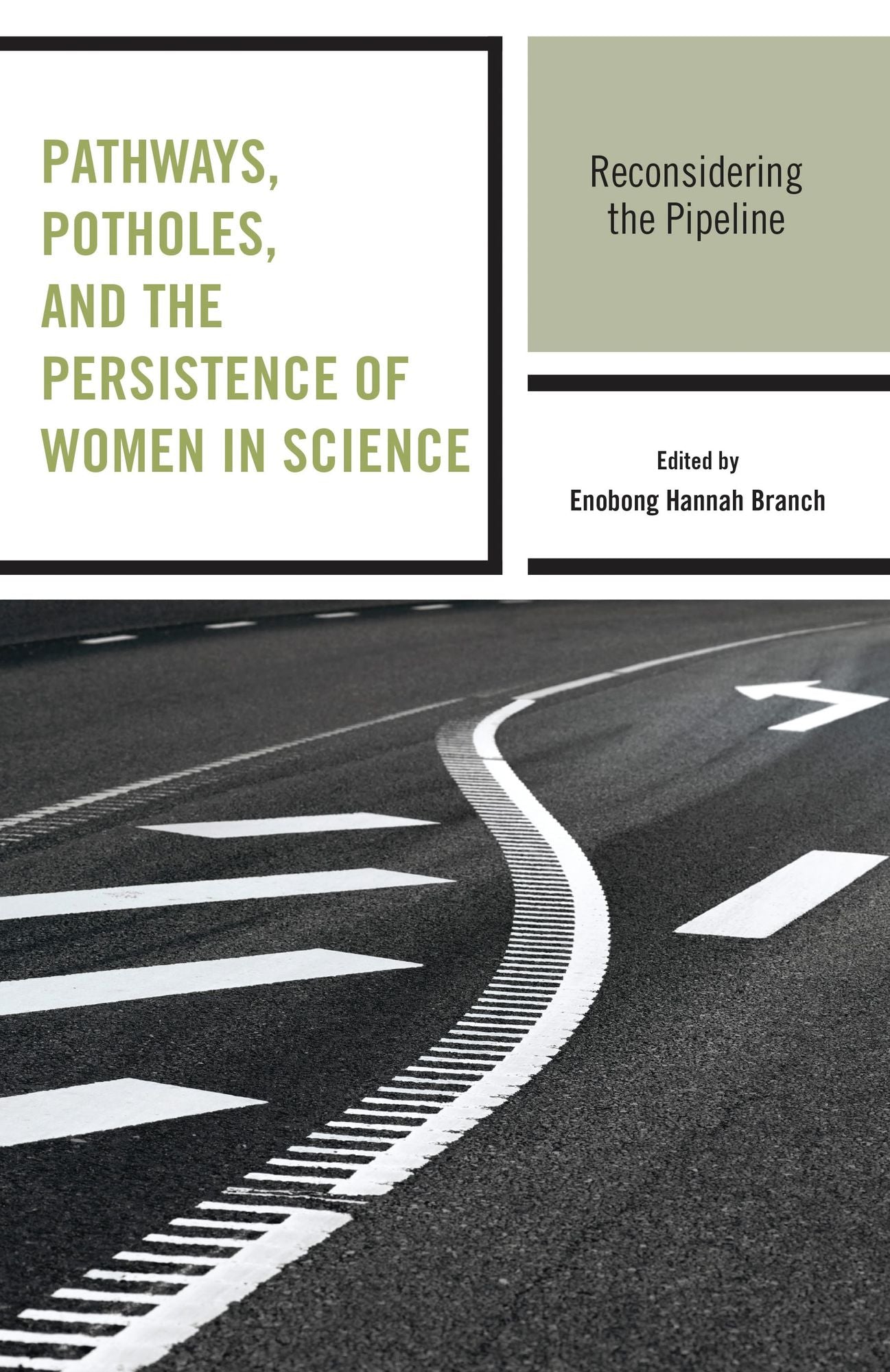 Pathways, Potholes, and the Persistence of Women in Science: Reconsidering the Pipeline
