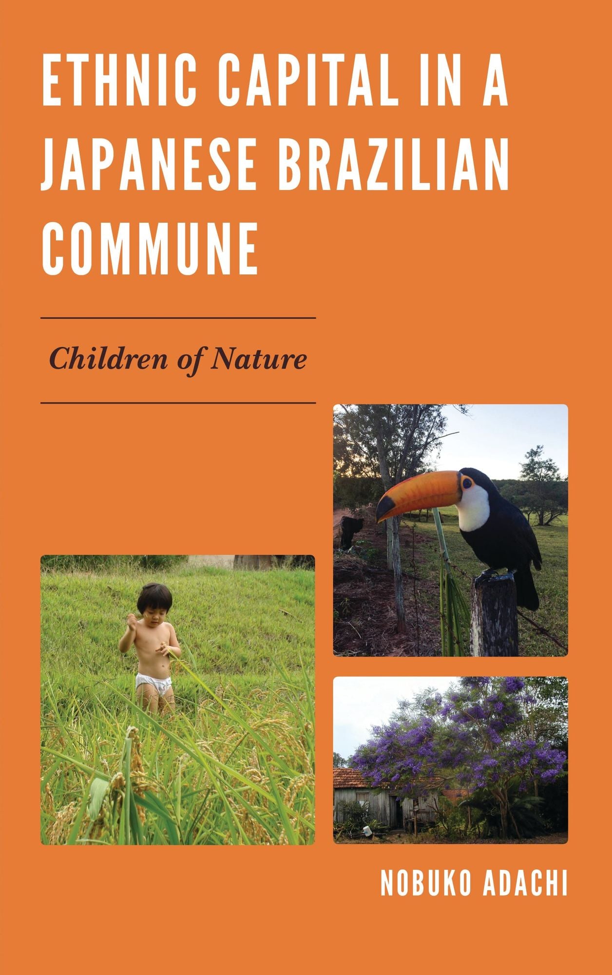Ethnic Capital in a Japanese Brazilian Commune: Children of Nature