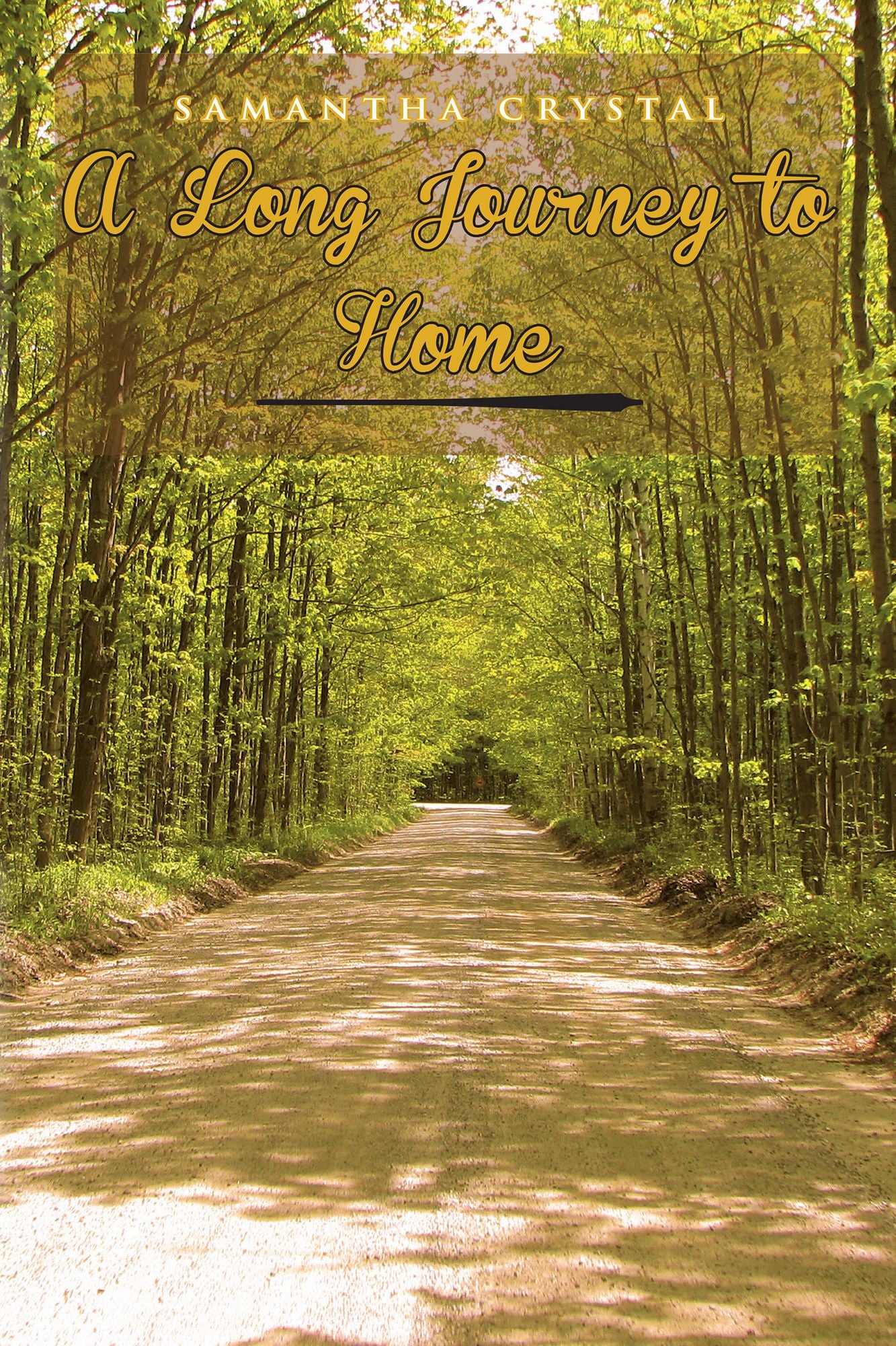 A Long Journey To Home