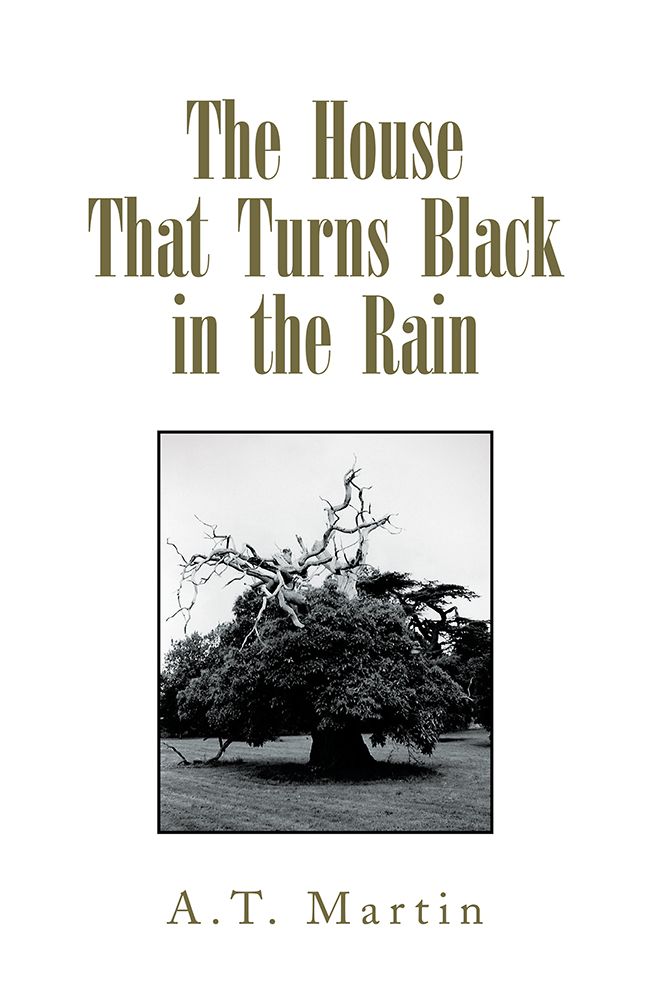 The House That Turns Black in the Rain