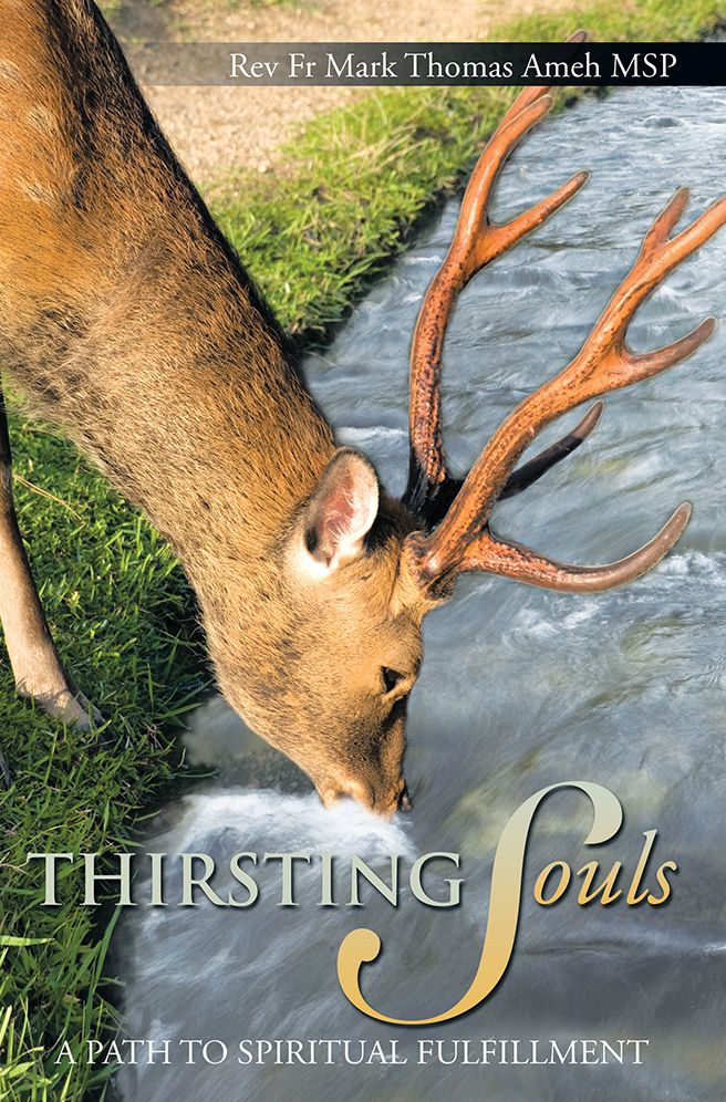 THIRSTING SOULS: A PATH TO SPIRITUAL FULFILLMENT