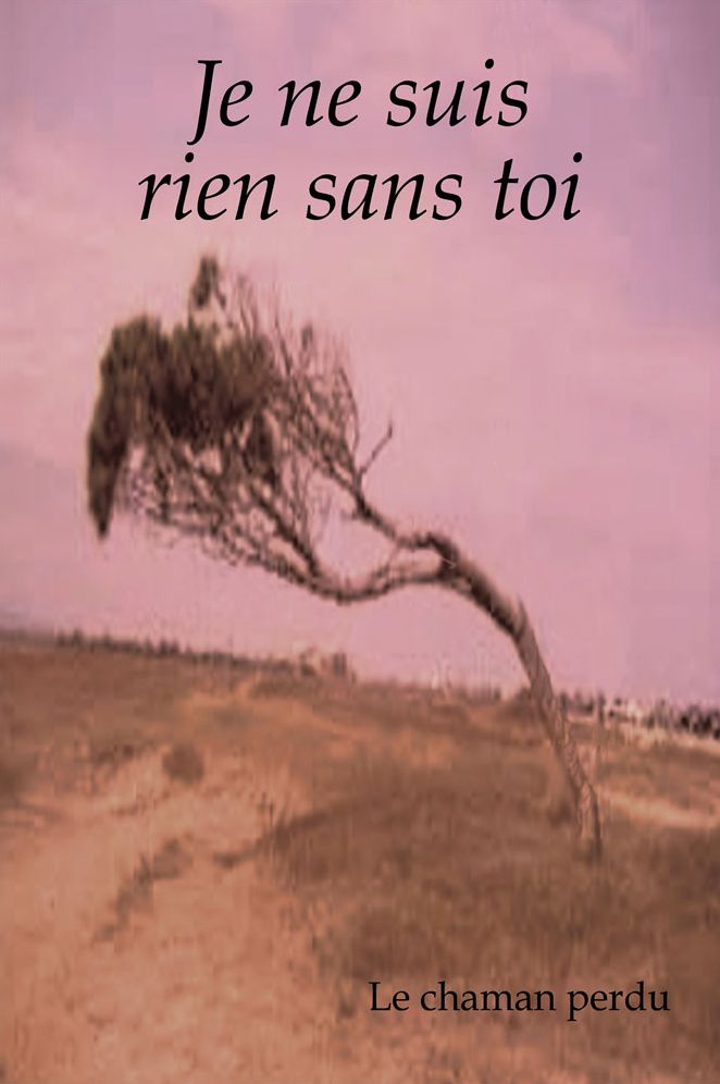 Je Ne Suis Rien Sans Toi: Recueil De Poésies Ouvertes...