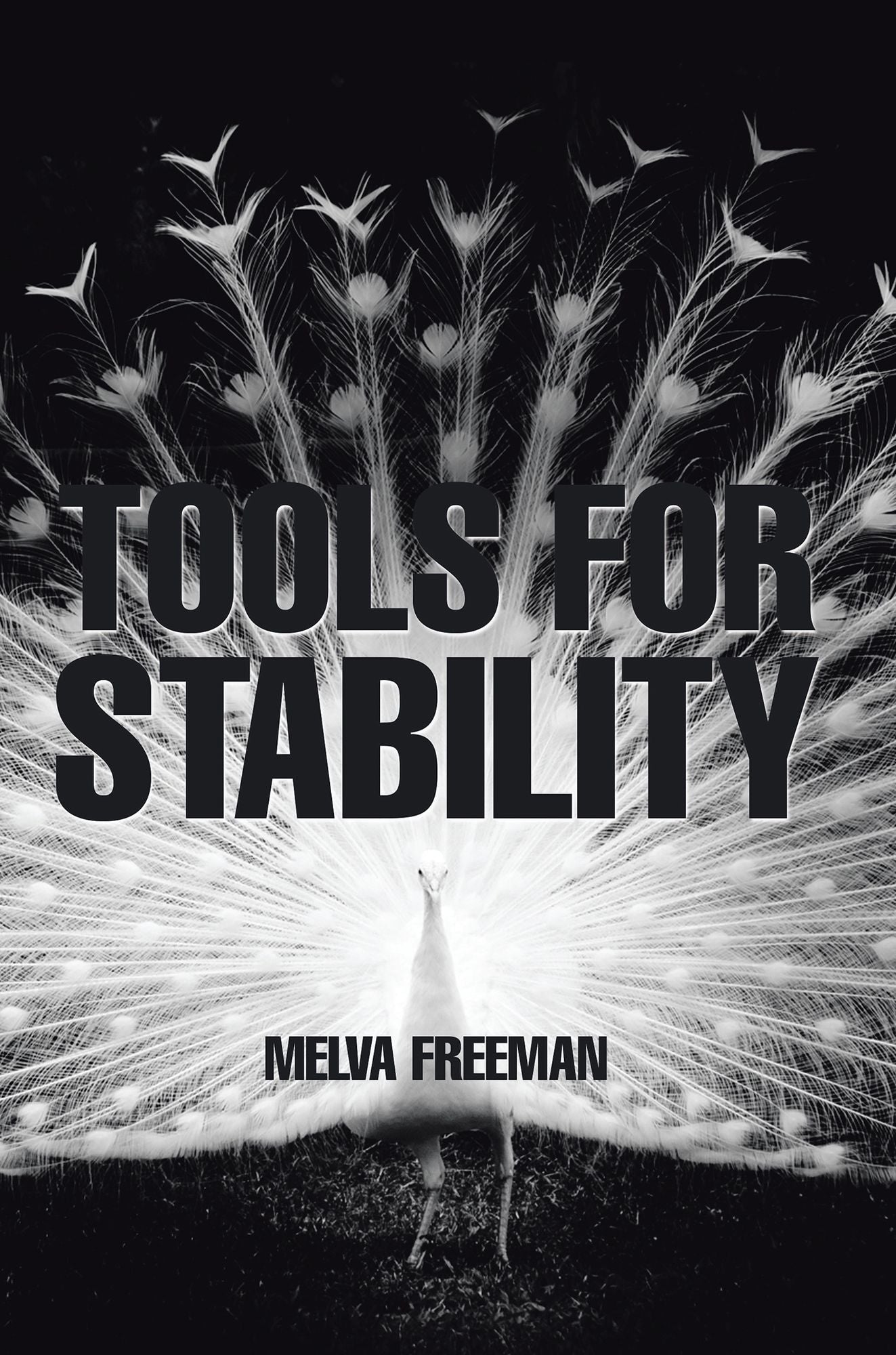 Tools for Stability